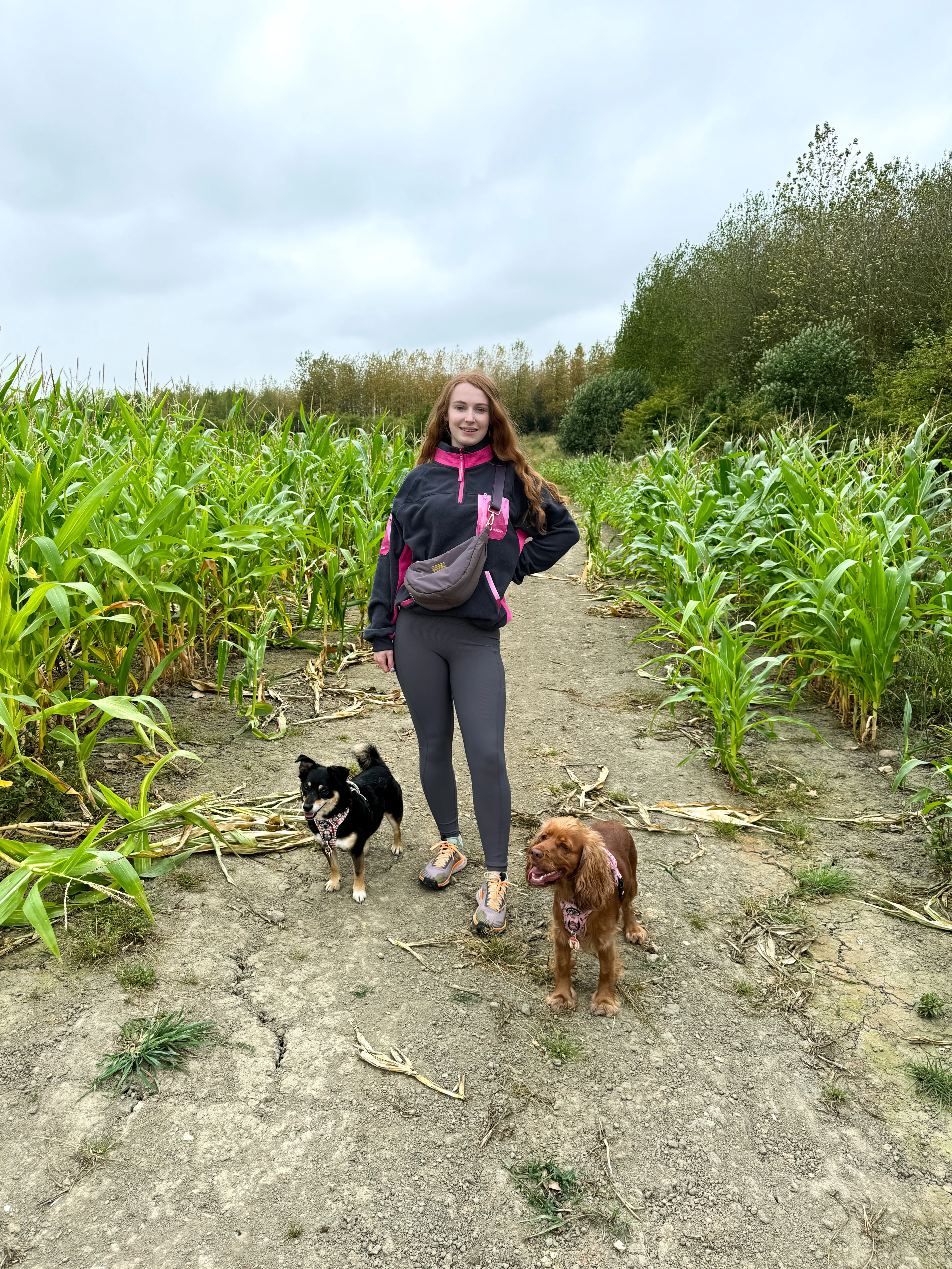 1/4 Zip Fleece - Walkies Ready® Fleece - Charcoal/Pink - Image 12