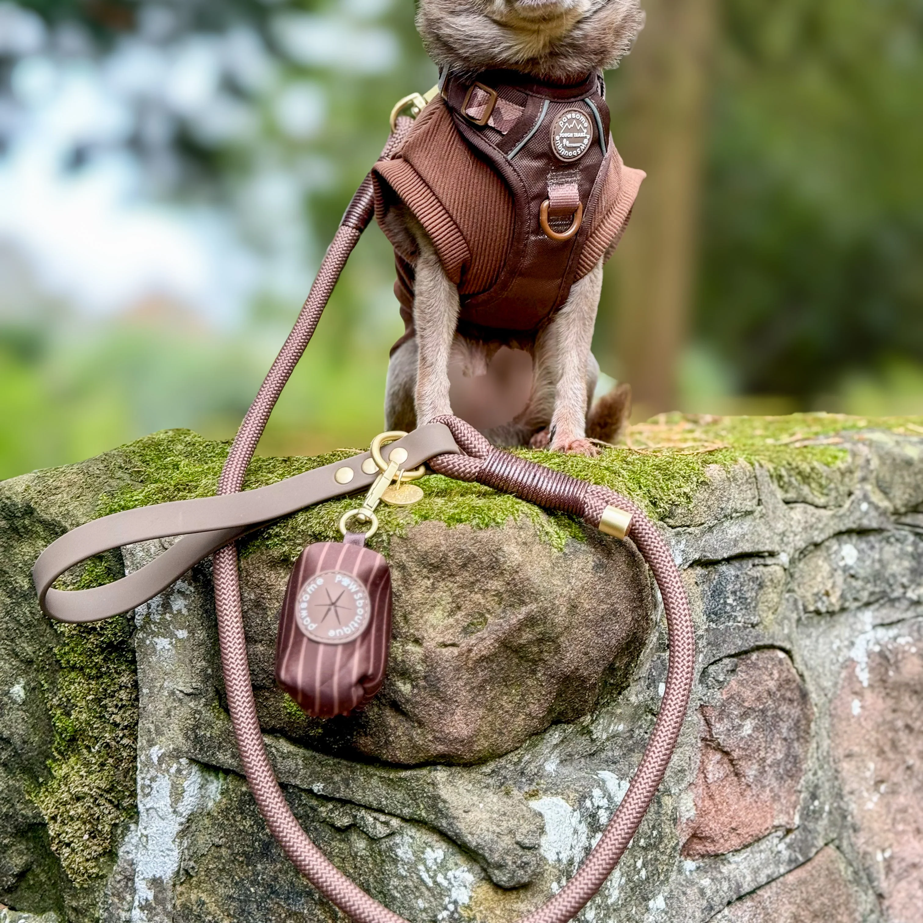 4ft Rope Lead - Brown - Image 10