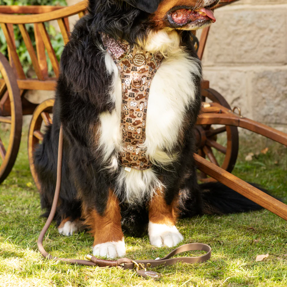 4ft Rope Lead - Brown - Image 11