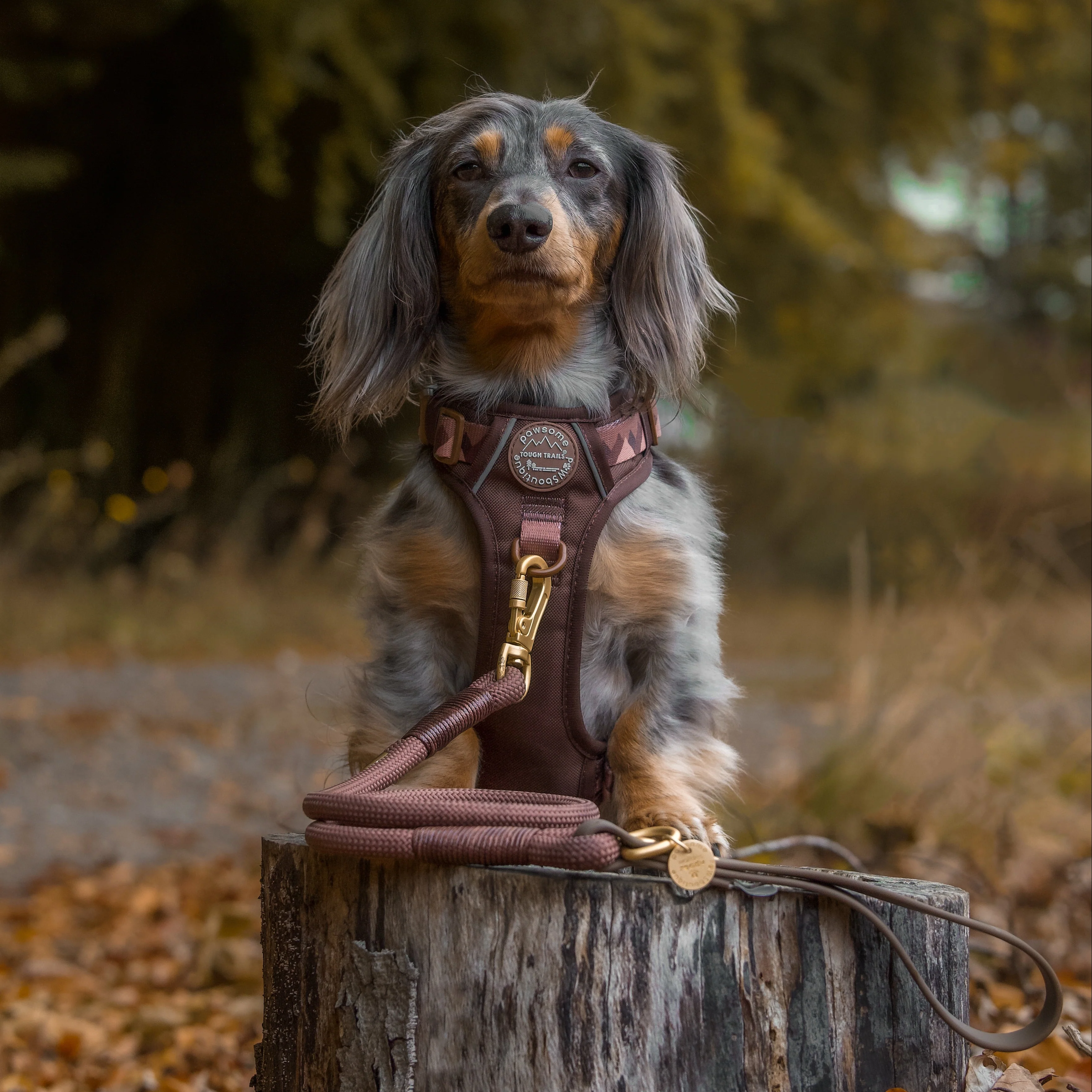 4ft Rope Lead - Brown - Image 13