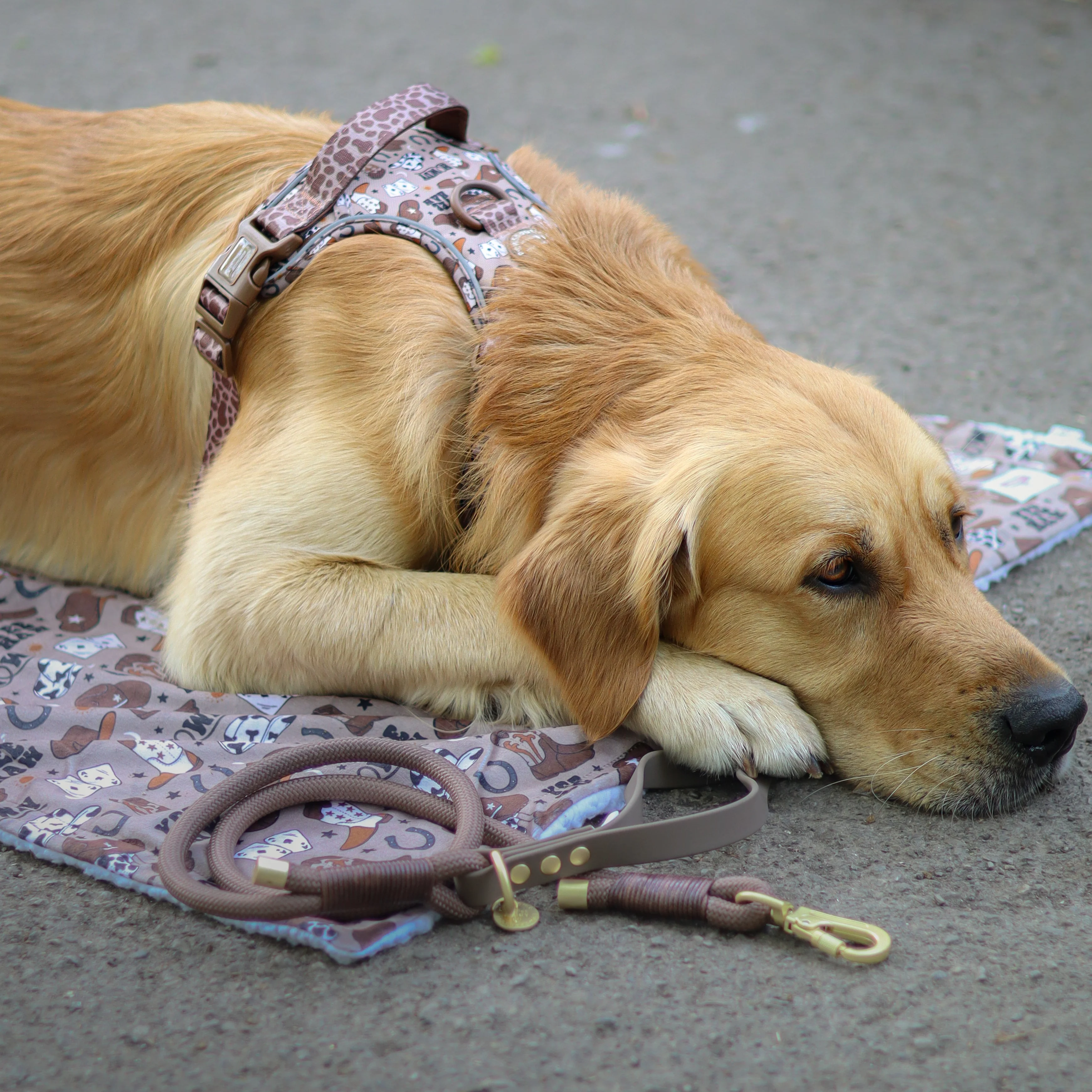 4ft Rope Lead - Brown - Image 6