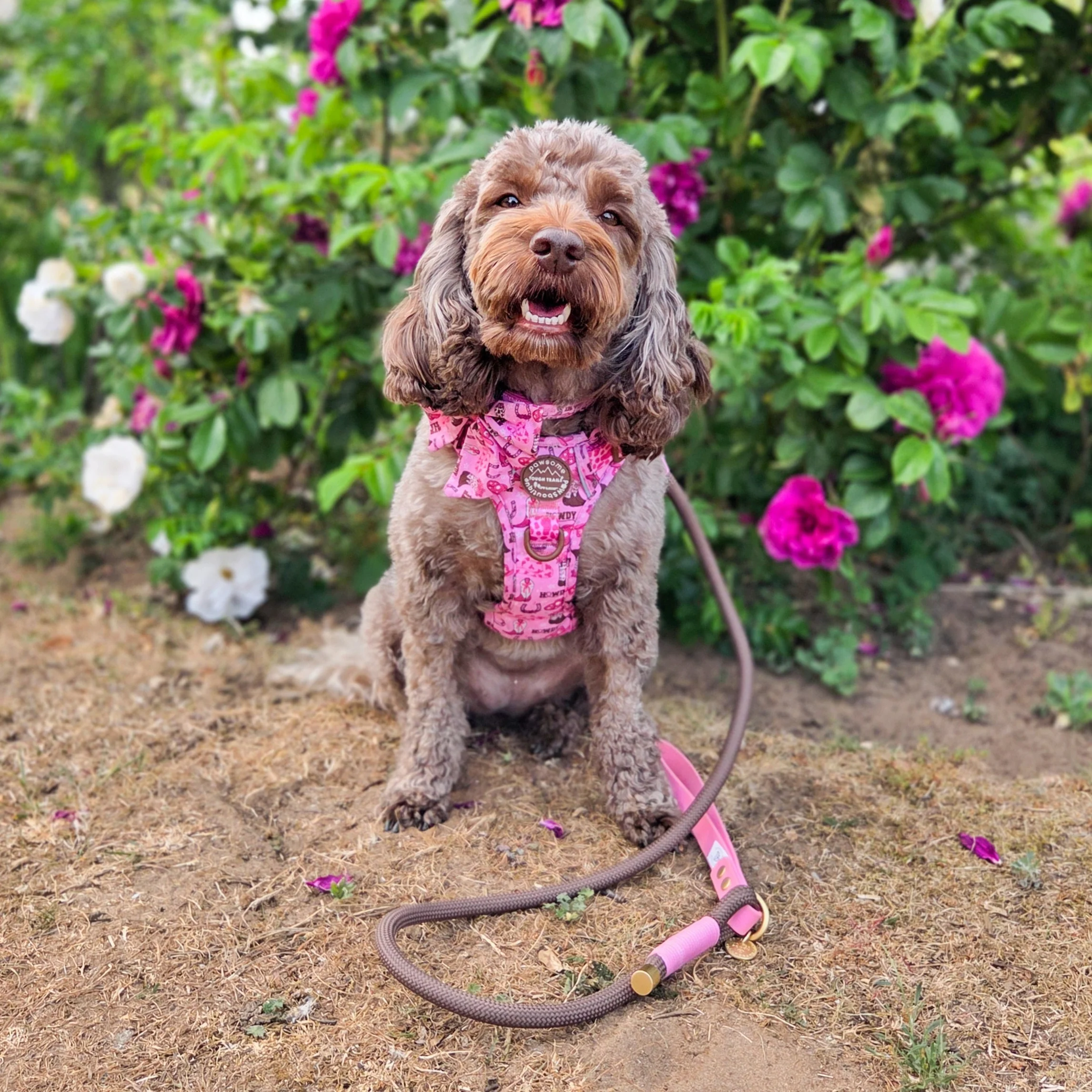 4ft Rope Lead - Brown + Pink - Image 10