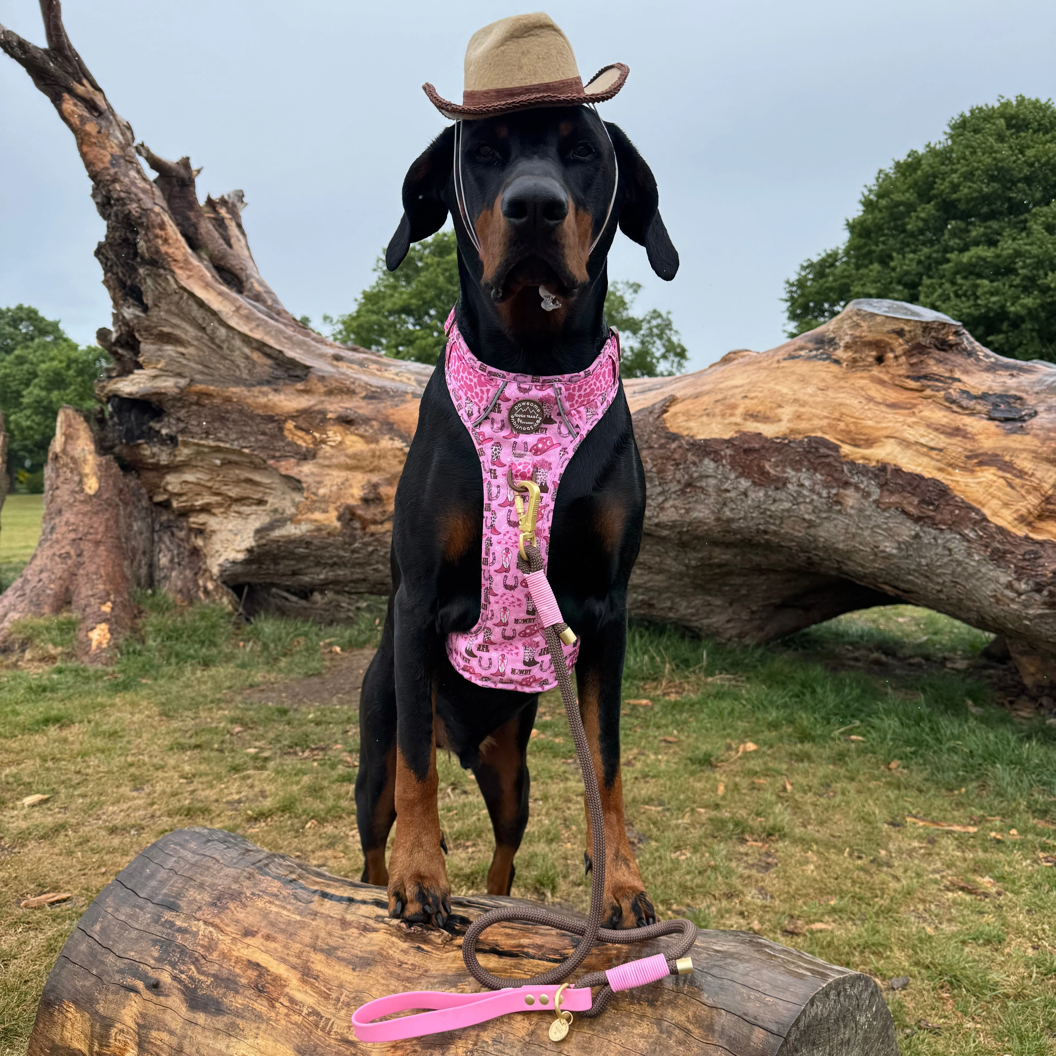 4ft Rope Lead - Brown + Pink - Image 16