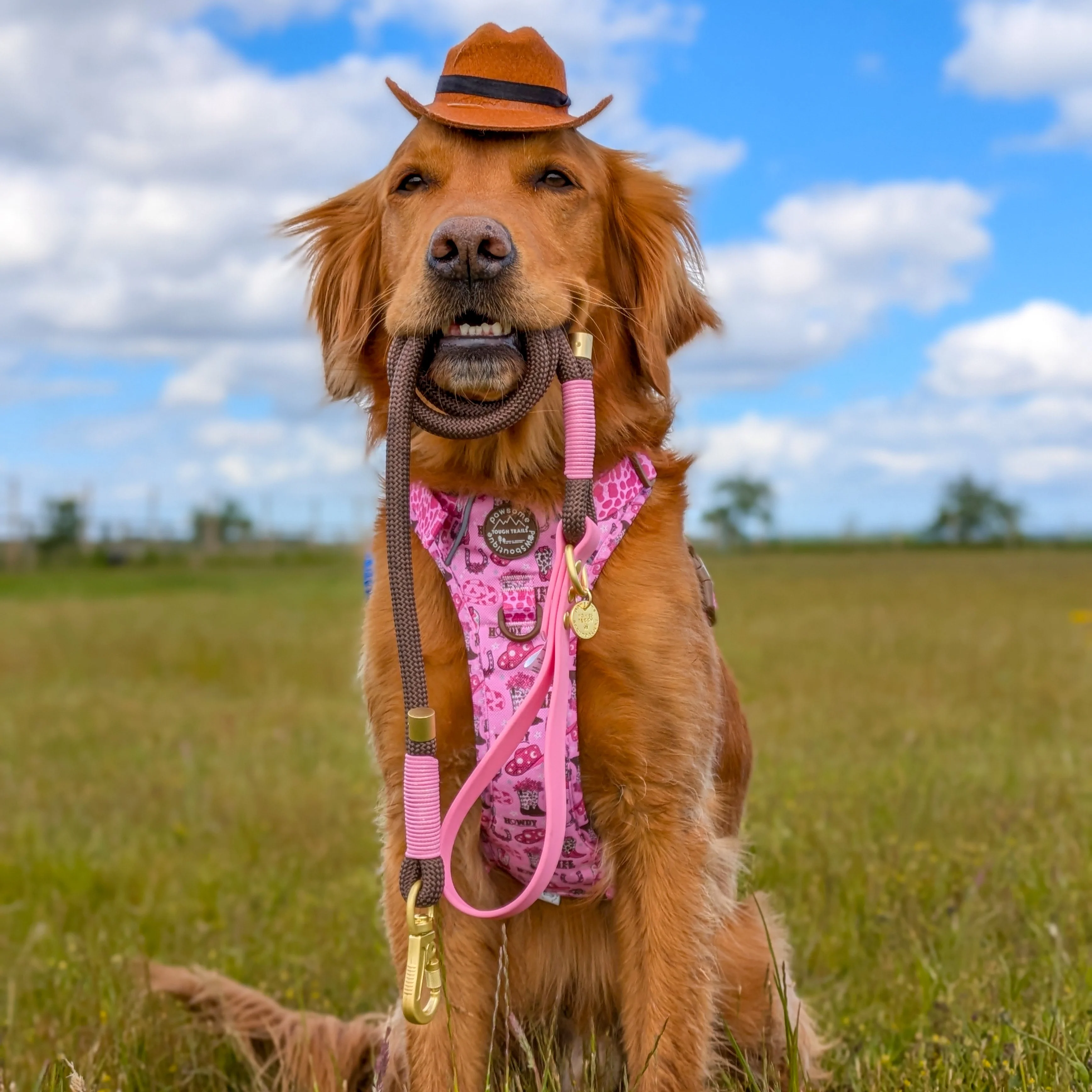 4ft Rope Lead - Brown + Pink - Image 4