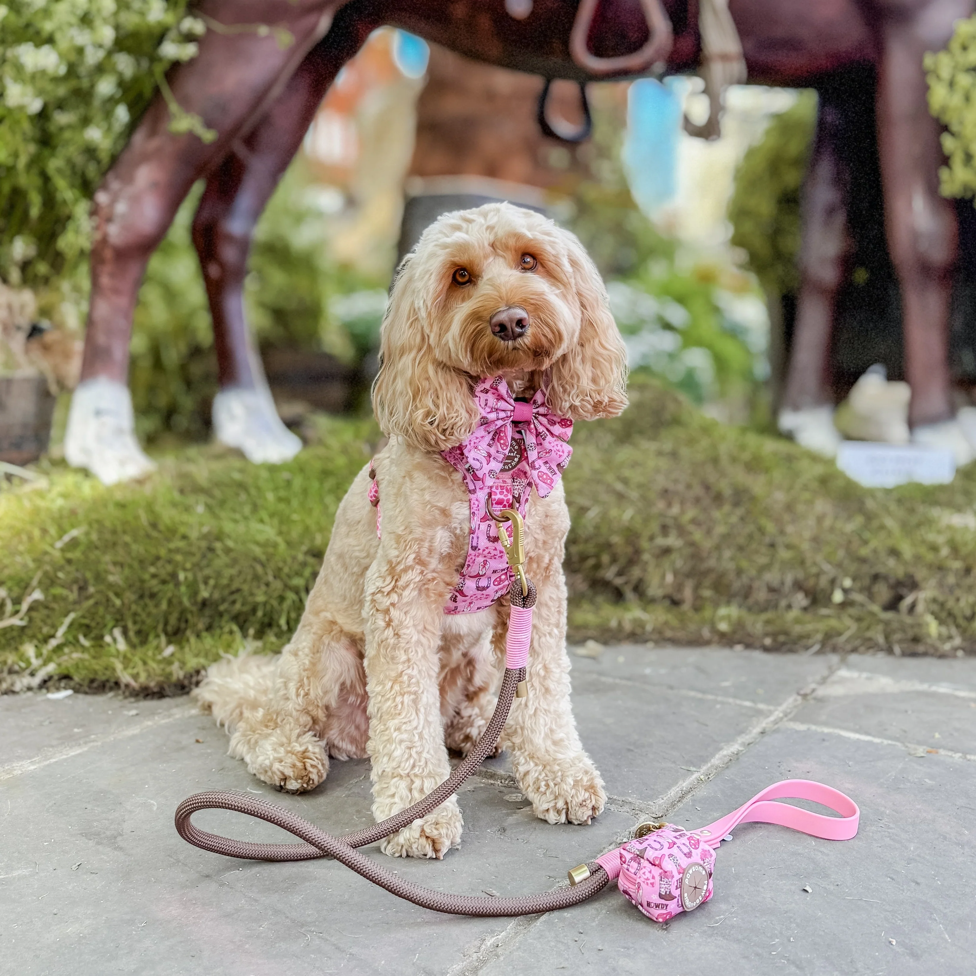 4ft Rope Lead - Brown + Pink - Image 5