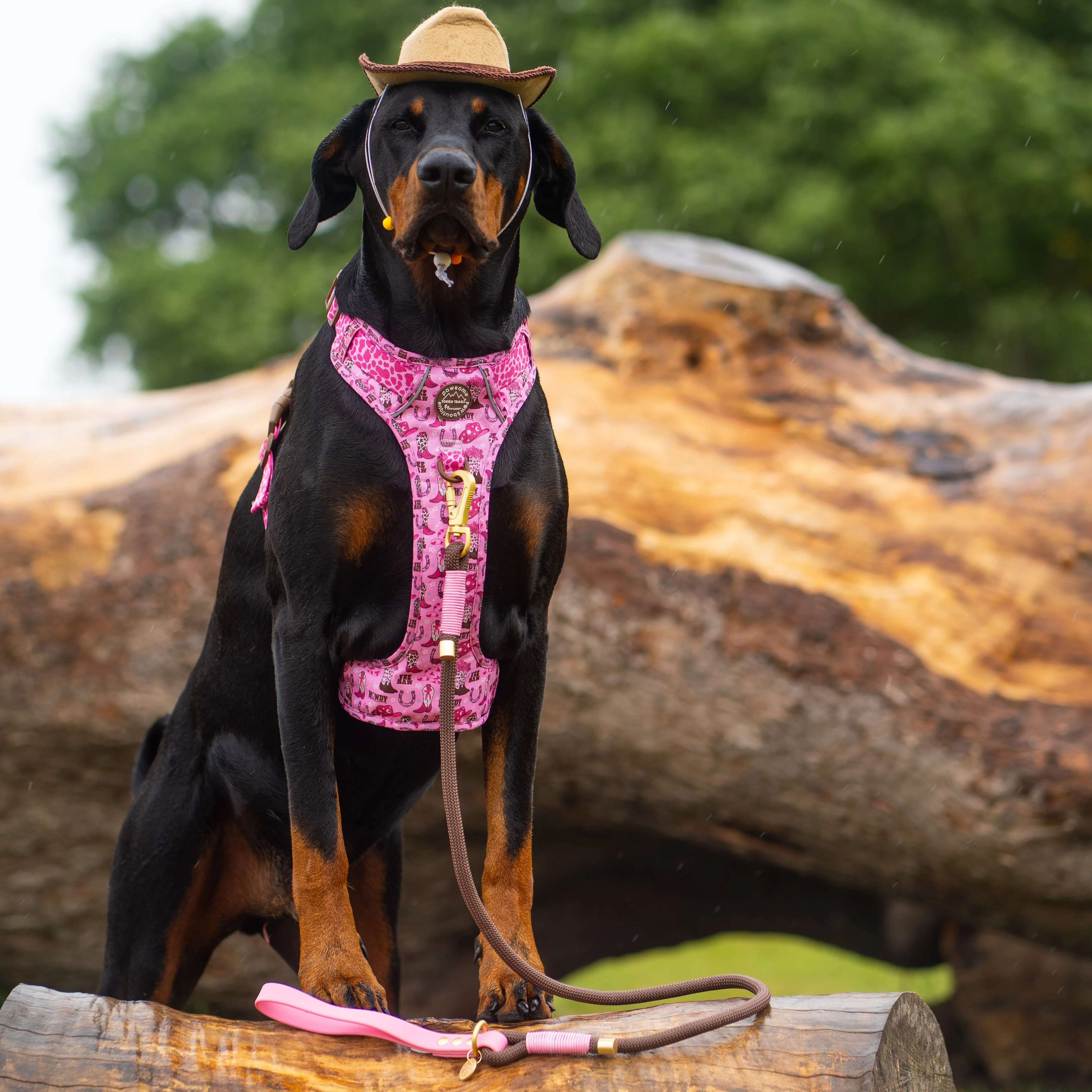 4ft Rope Lead - Brown + Pink - Image 6