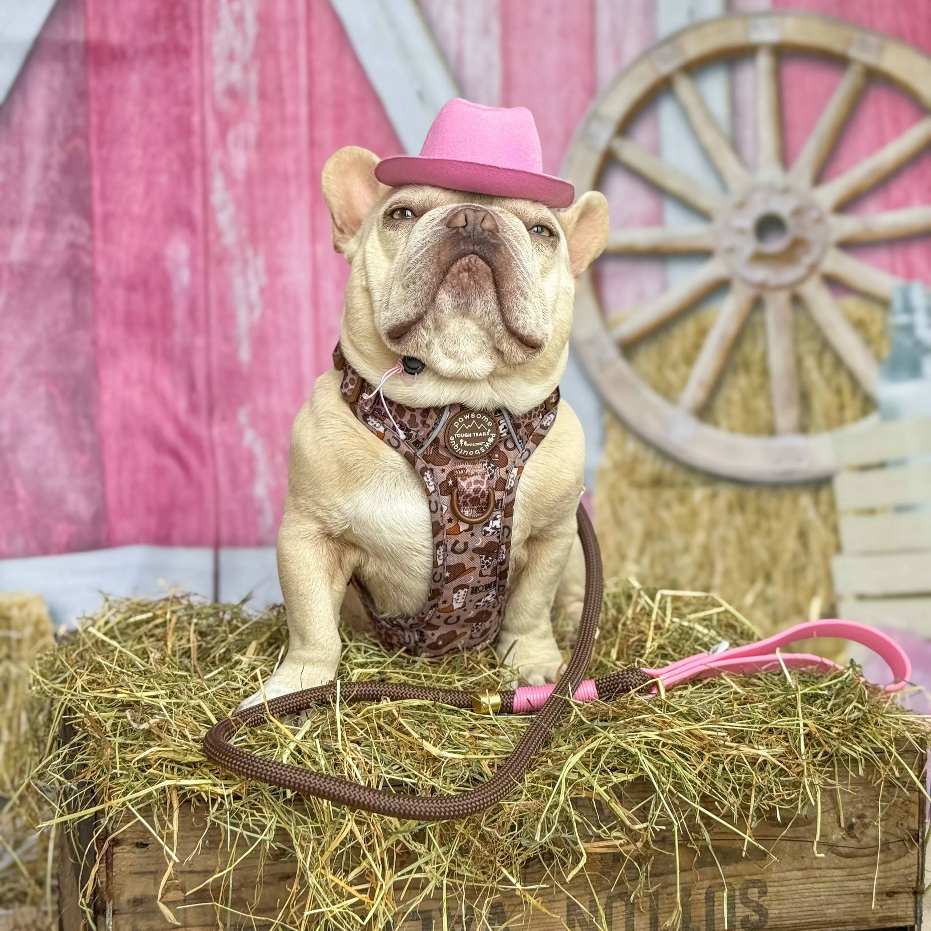 4ft Rope Lead - Brown + Pink - Image 7