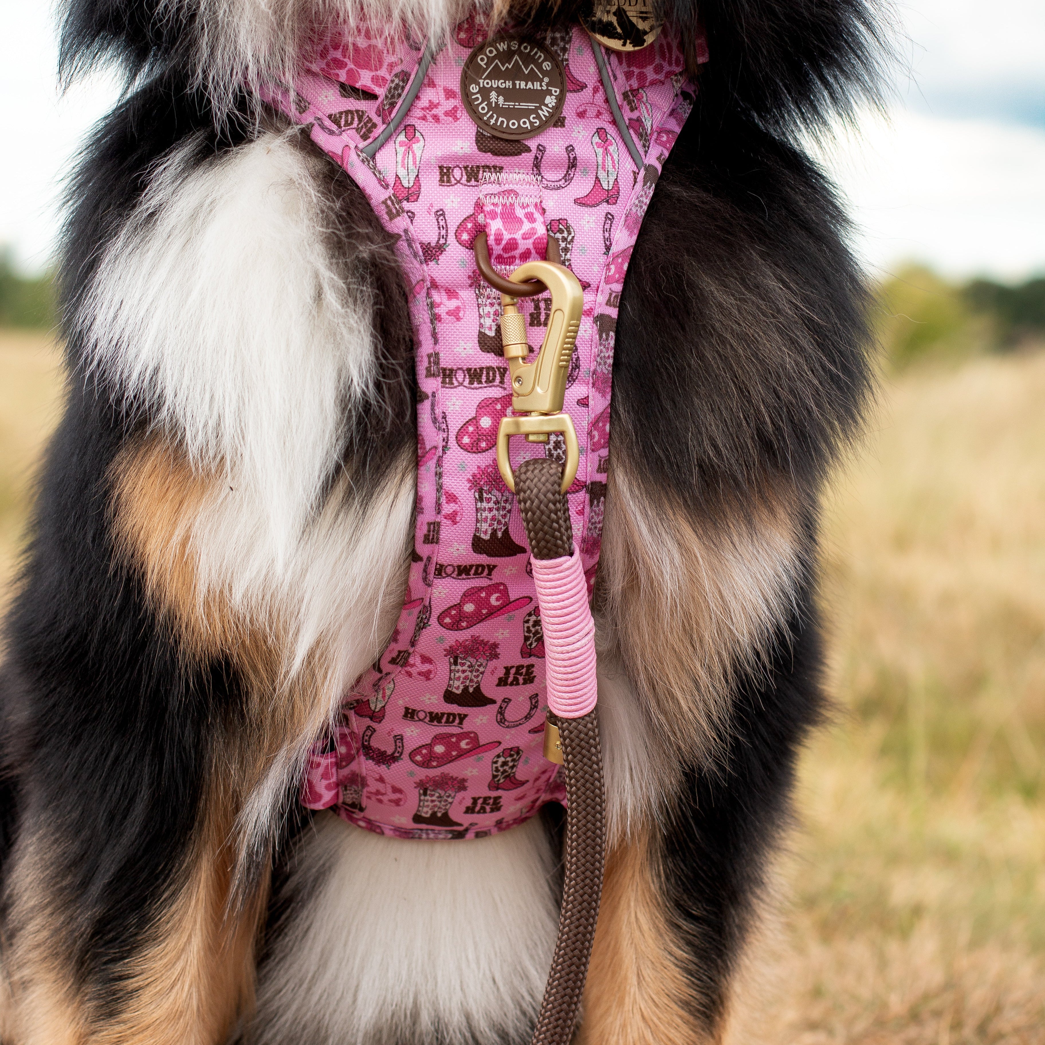 4ft Rope Lead - Brown + Pink - Image 9