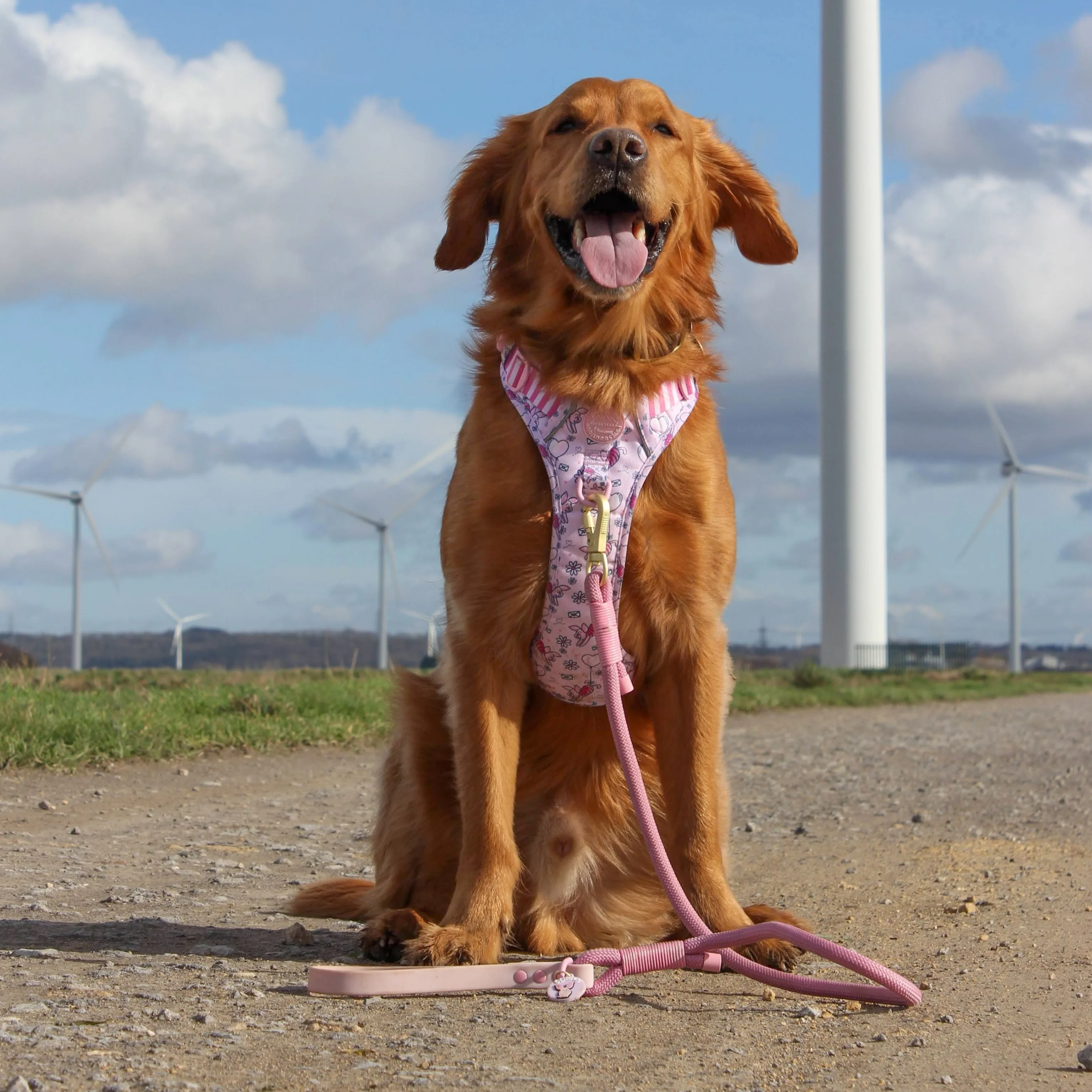 Disney© 4ft Rope Lead - Piglet - Pink - Image 16