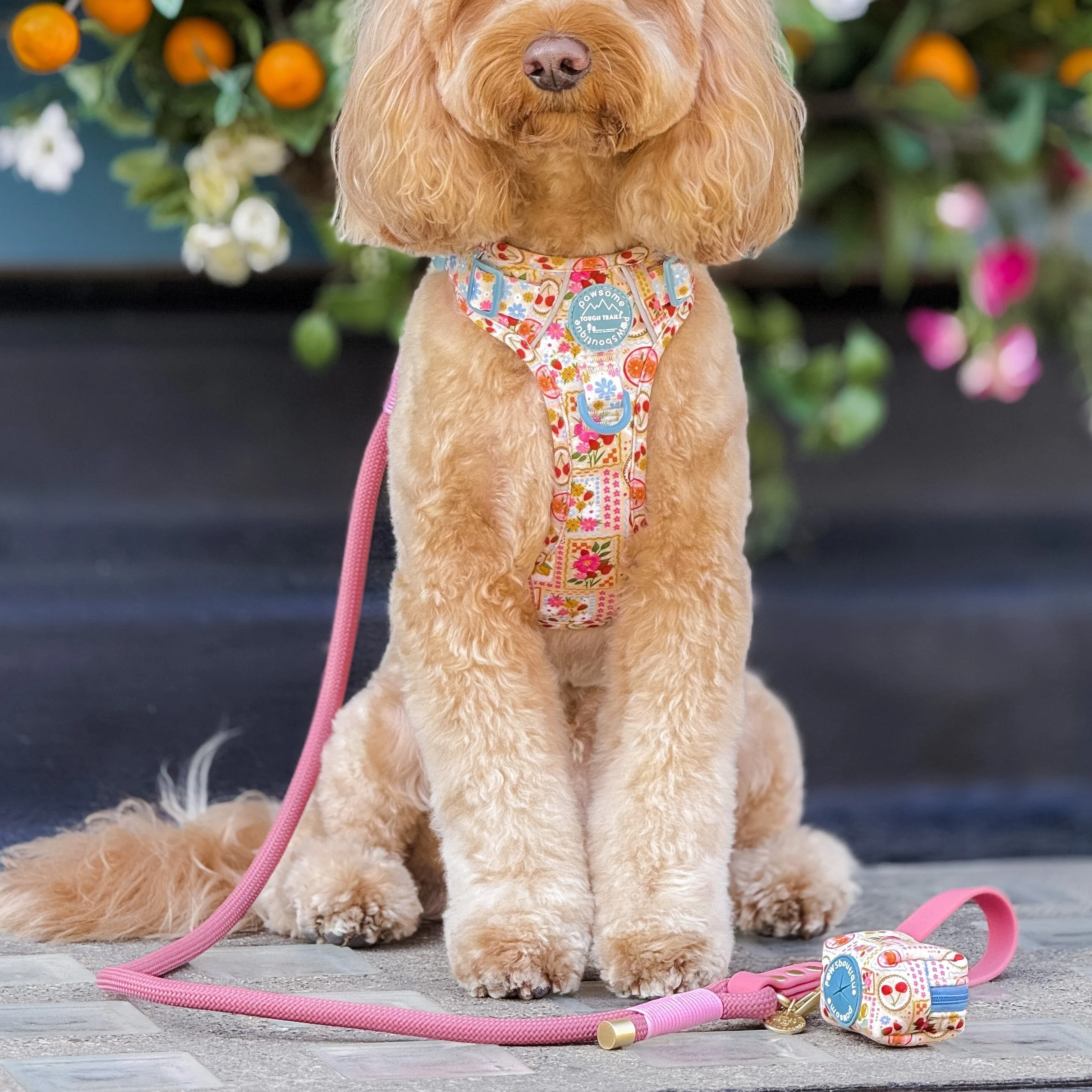 4ft Rope Lead - Pretty Pink - Image 5