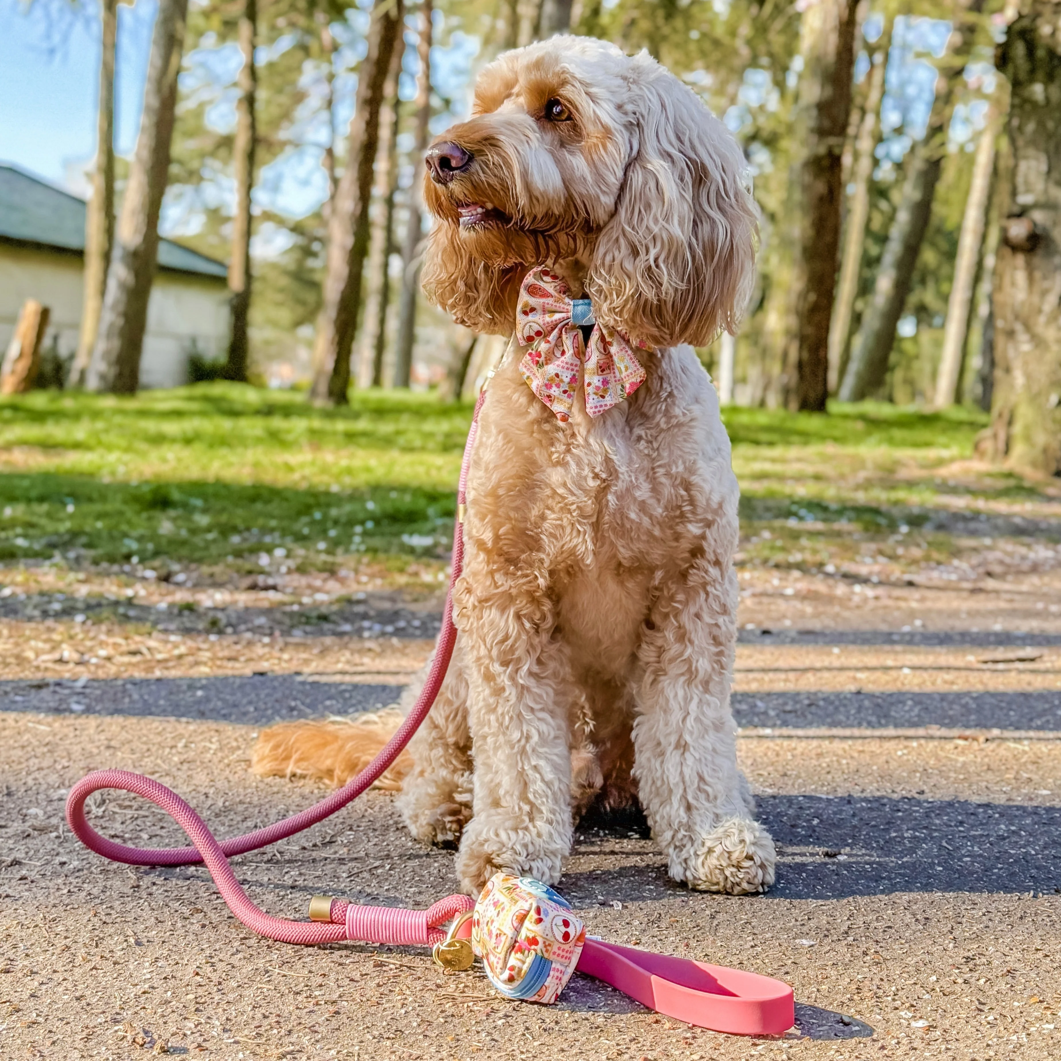 4ft Rope Lead - Pretty Pink - Image 8