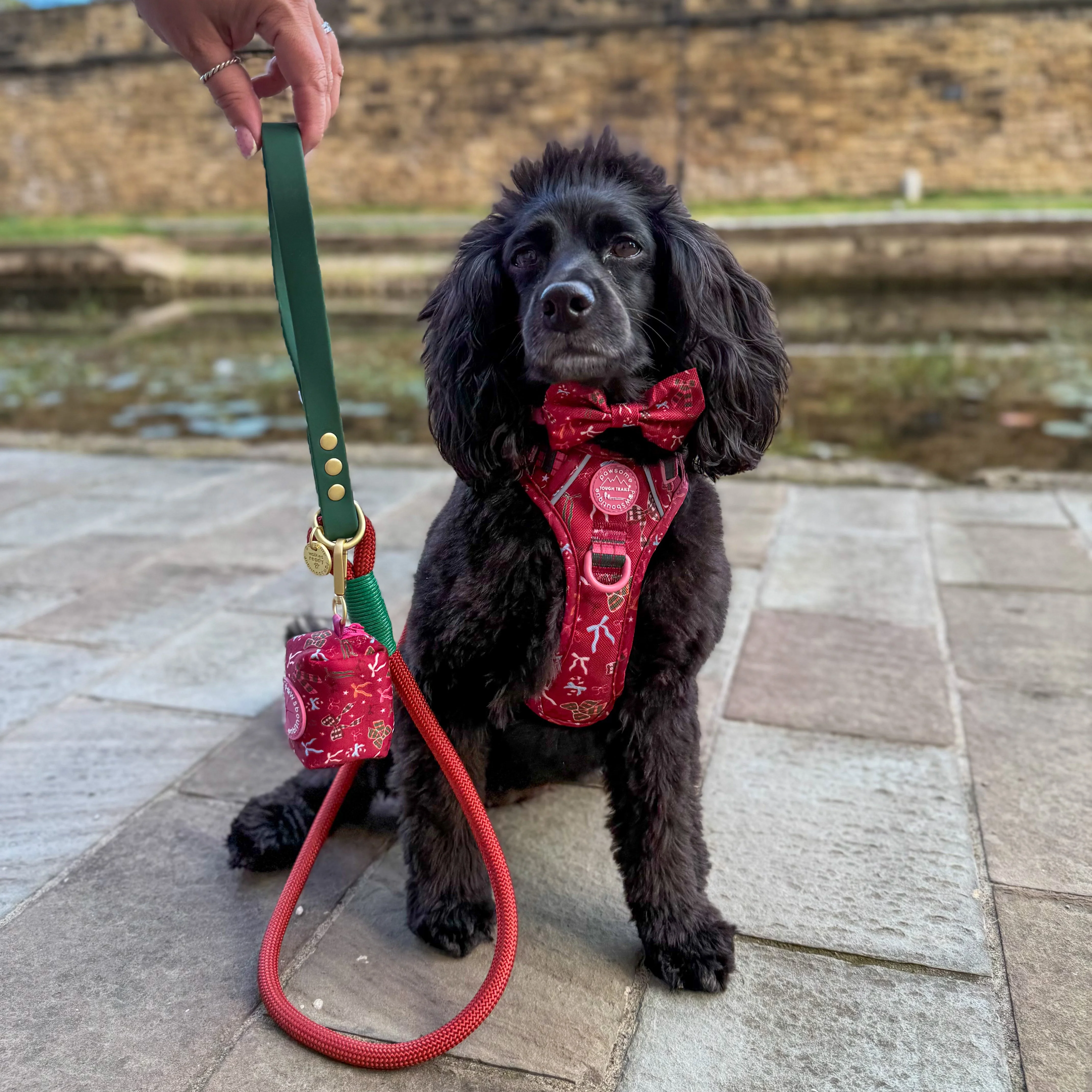 4ft Rope Lead - Red + Green - Image 4