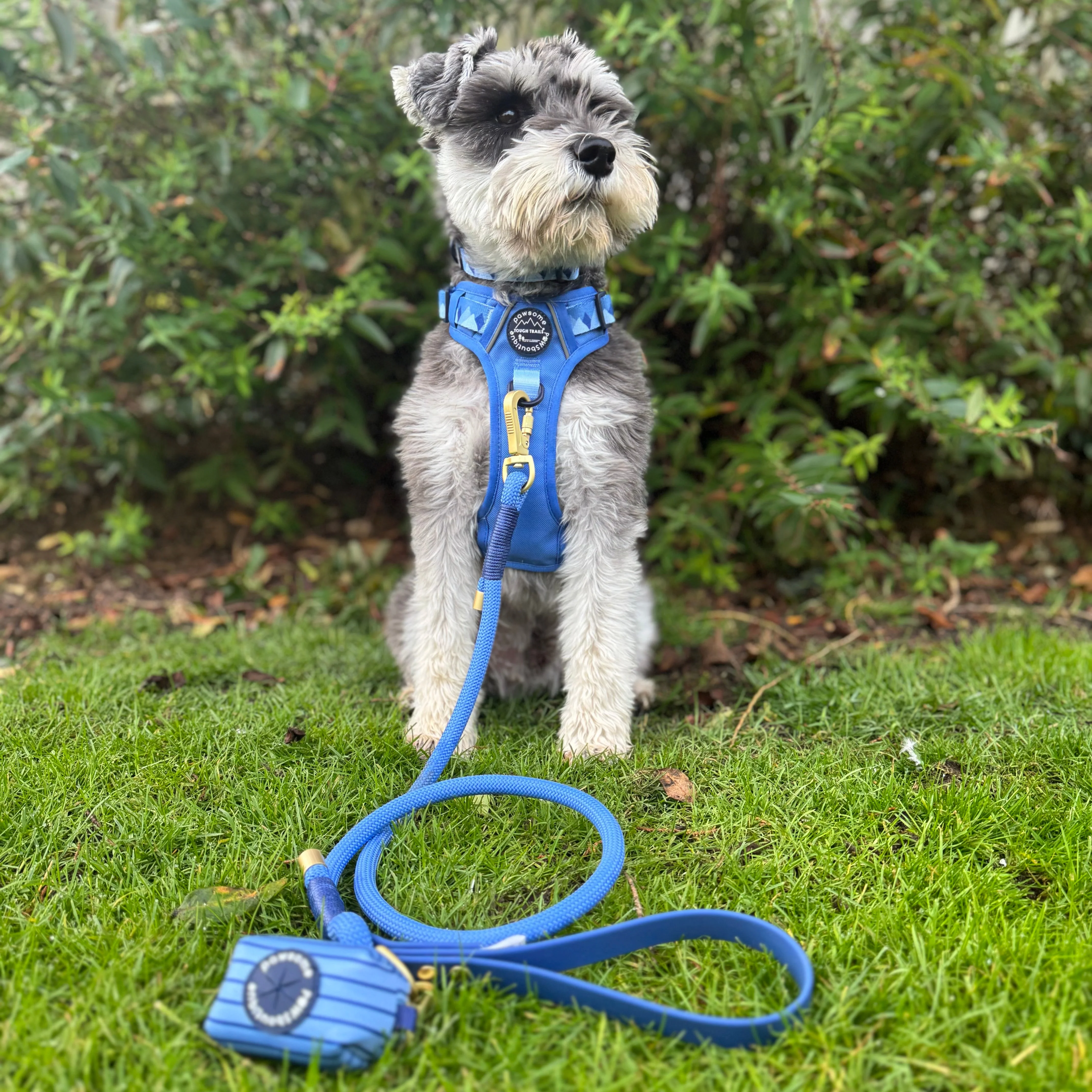4ft Rope Lead - Walkies Ready® Cornflower Blue - Image 6