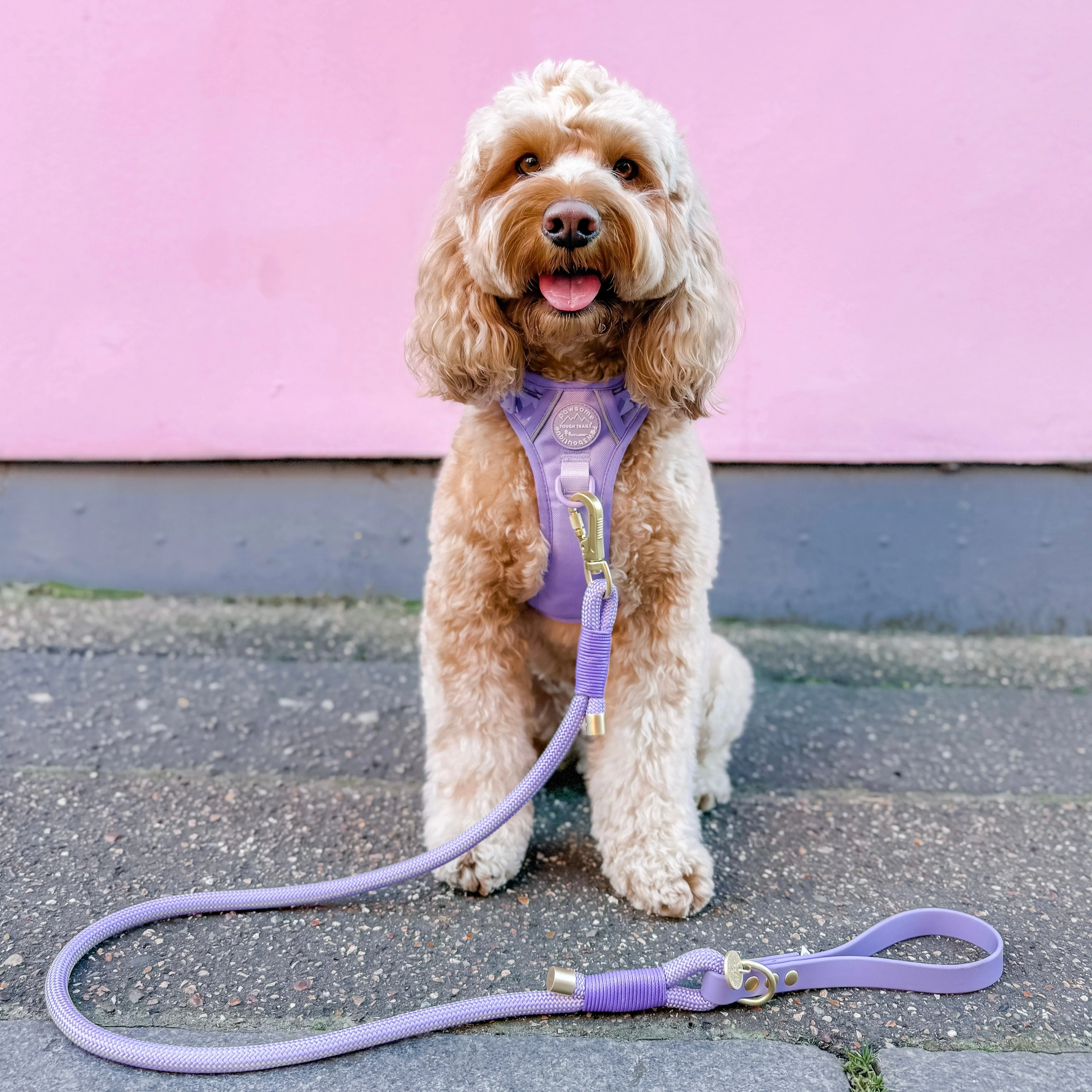 4ft Rope Lead - Walkies Ready® Lavender Lilac - Image 5