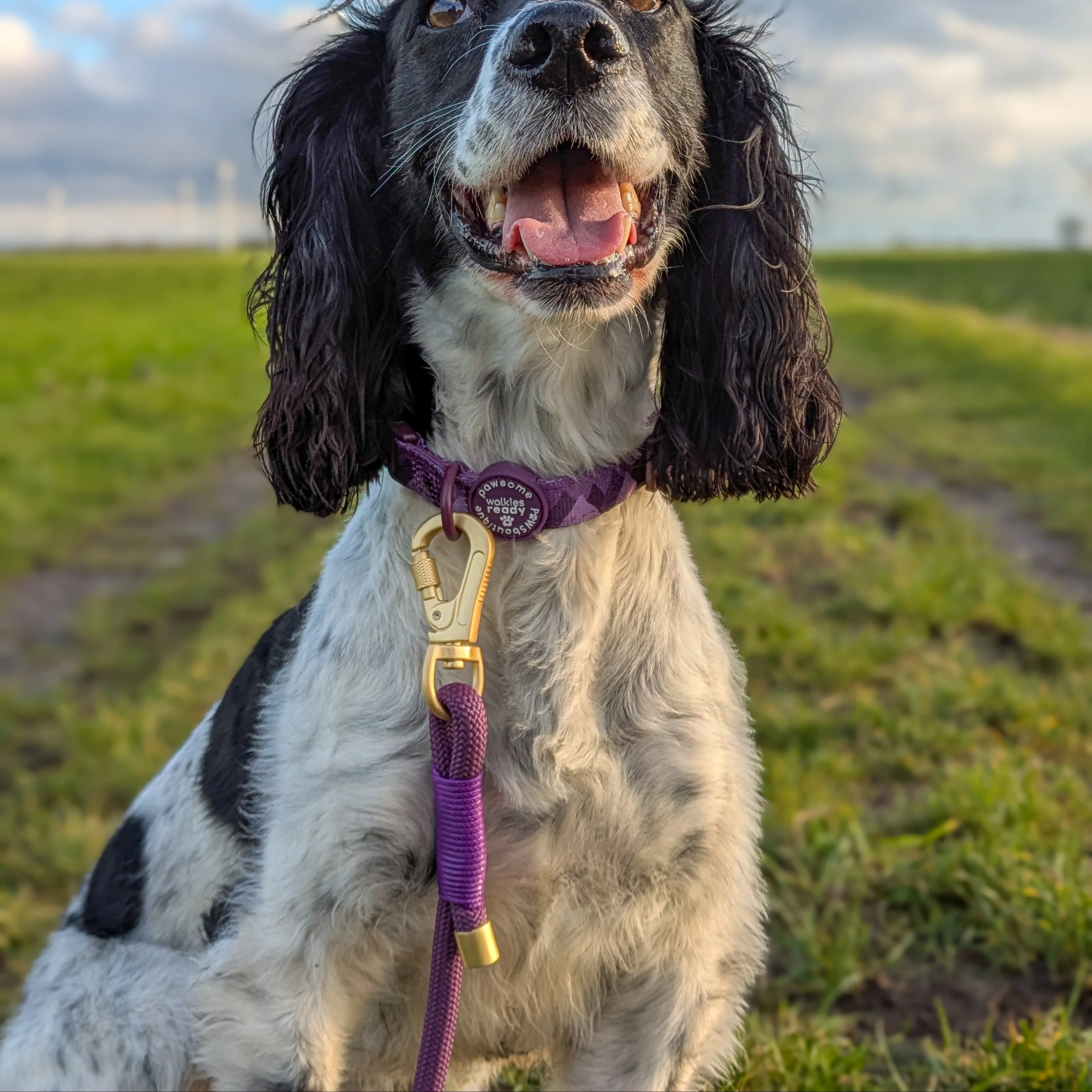 4ft Rope Lead - Walkies Ready® Plum - Image 10