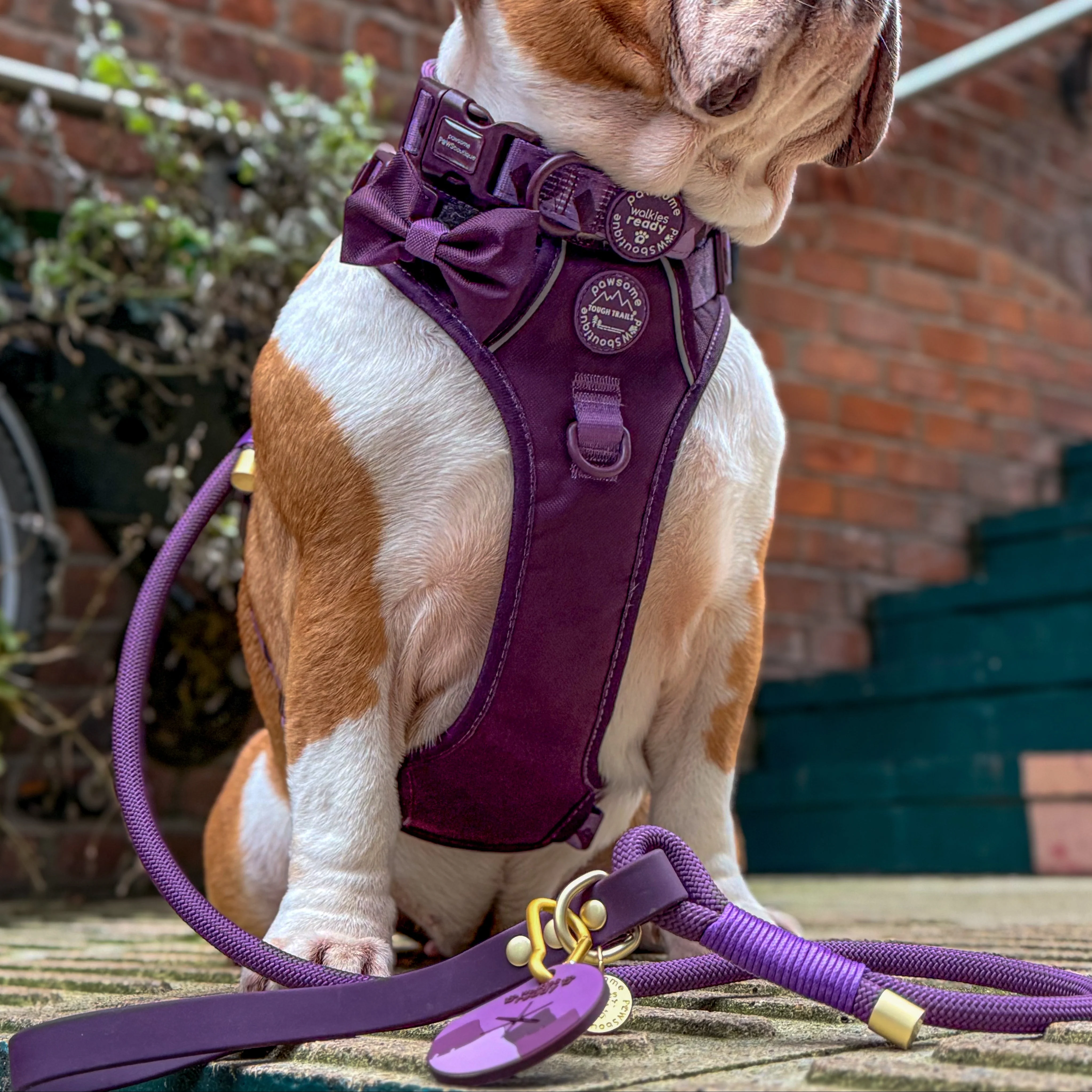 4ft Rope Lead - Walkies Ready® Plum - Image 4