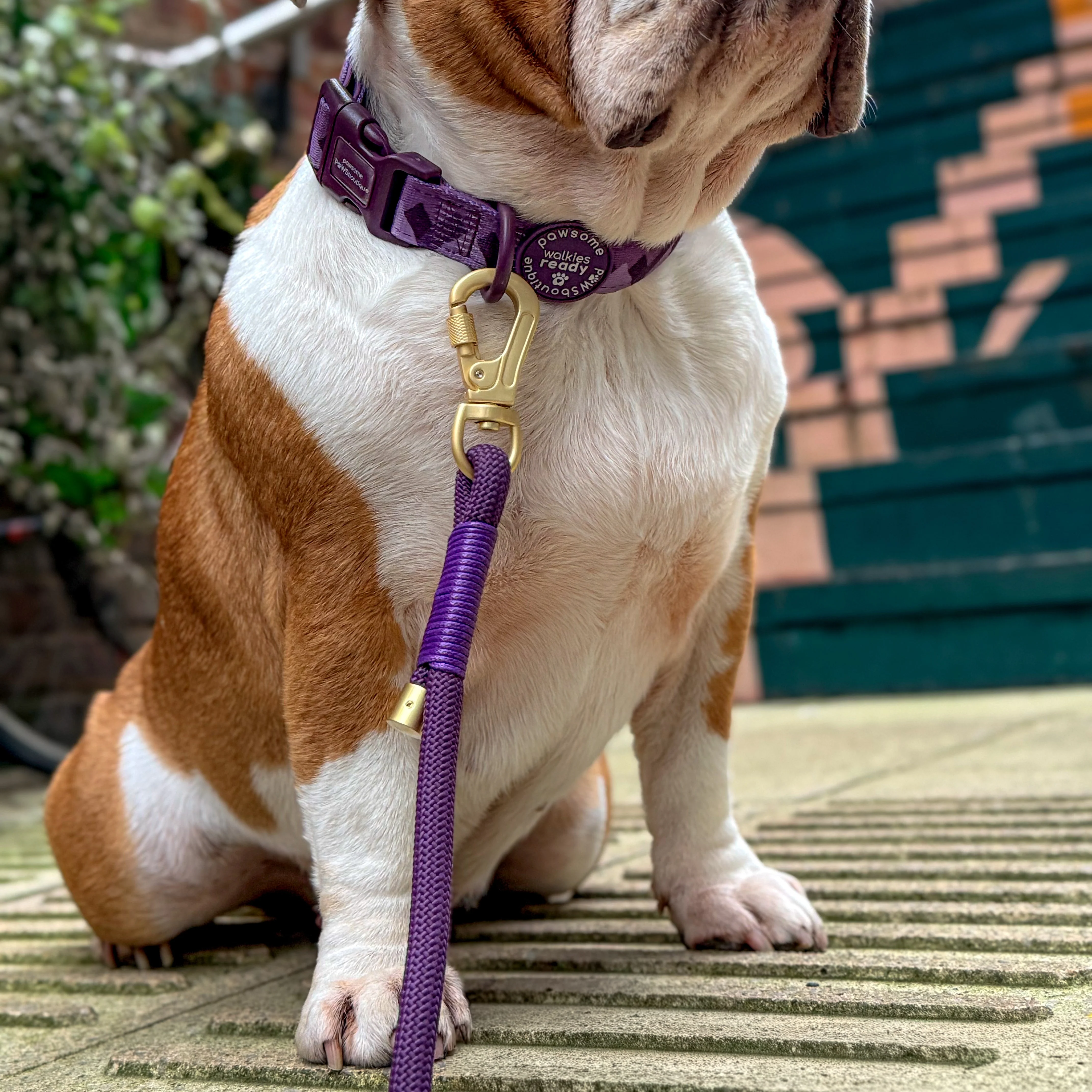 4ft Rope Lead - Walkies Ready® Plum - Image 9