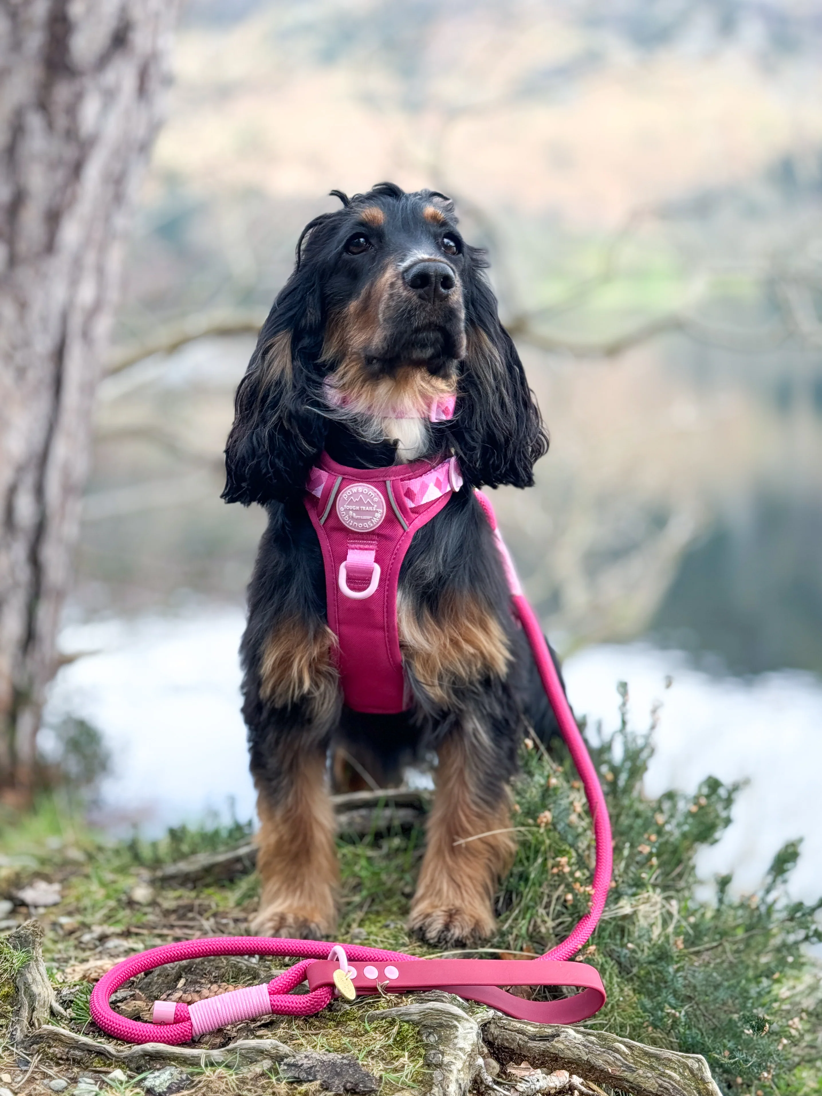 4ft Rope Lead - Walkies Ready® Raspberry Pink - Image 10