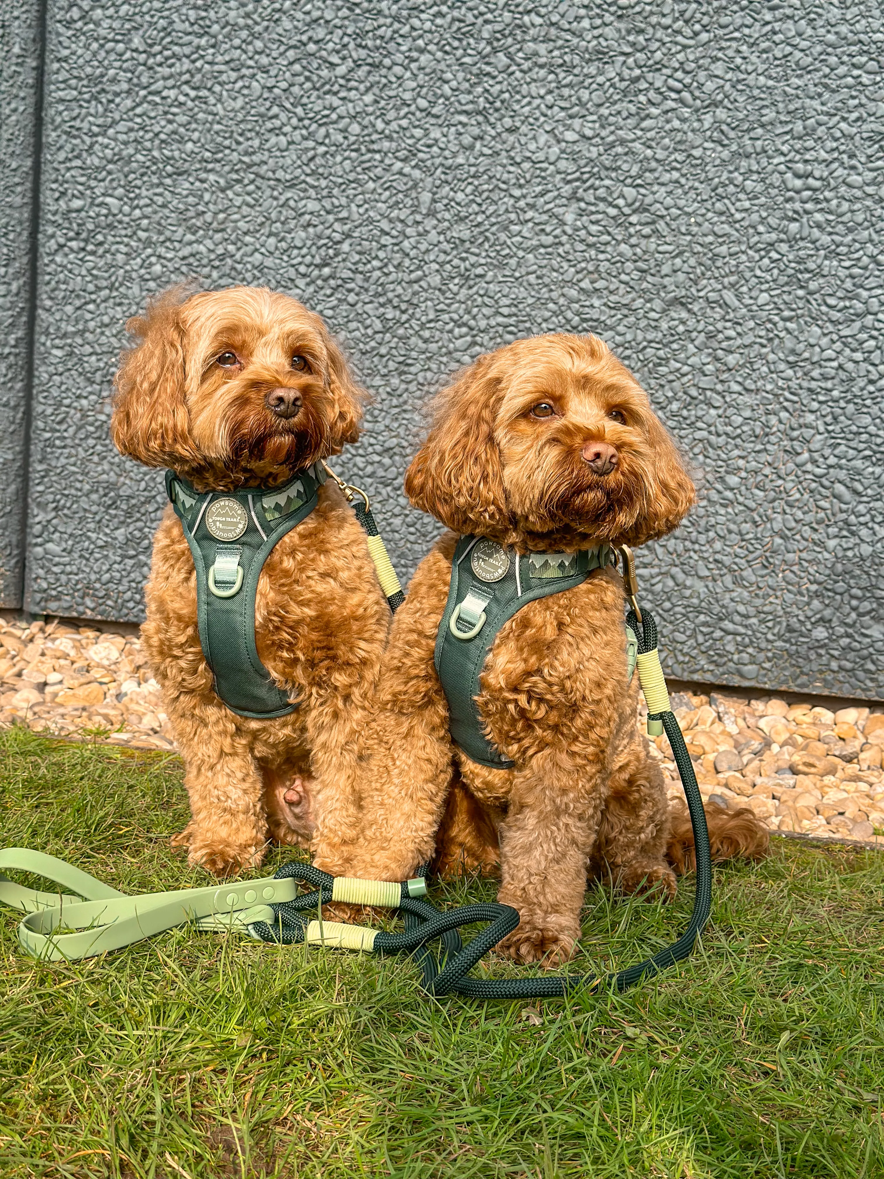 4ft Rope Lead - Walkies Ready® Forest Green - Image 11