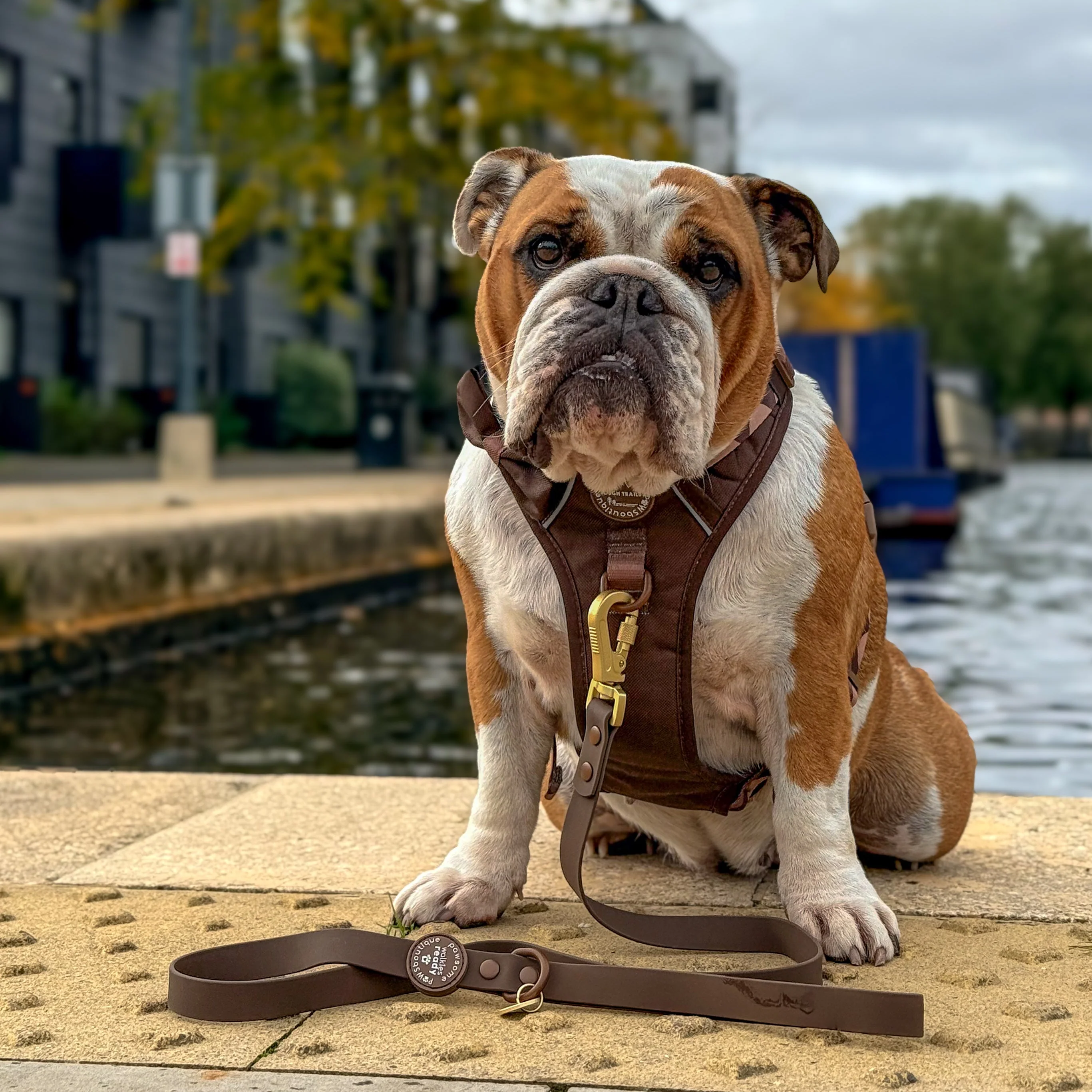 4ft Waterproof Lead - Walkies Ready® Chocolate Brown - Image 11