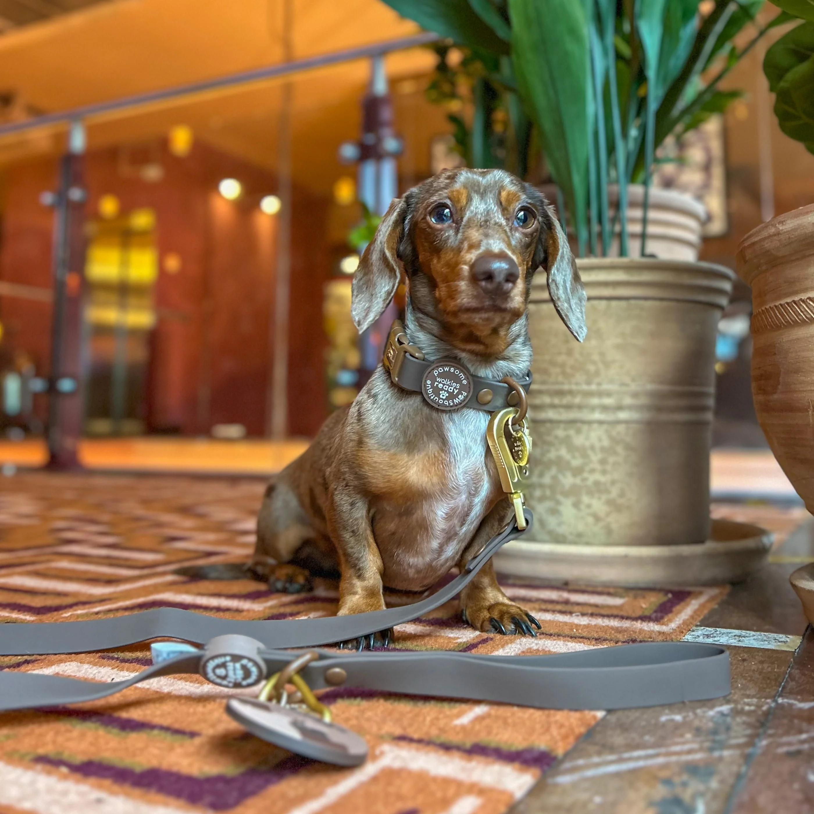 4ft Waterproof Lead - Walkies Ready® Chocolate Brown - Image 12