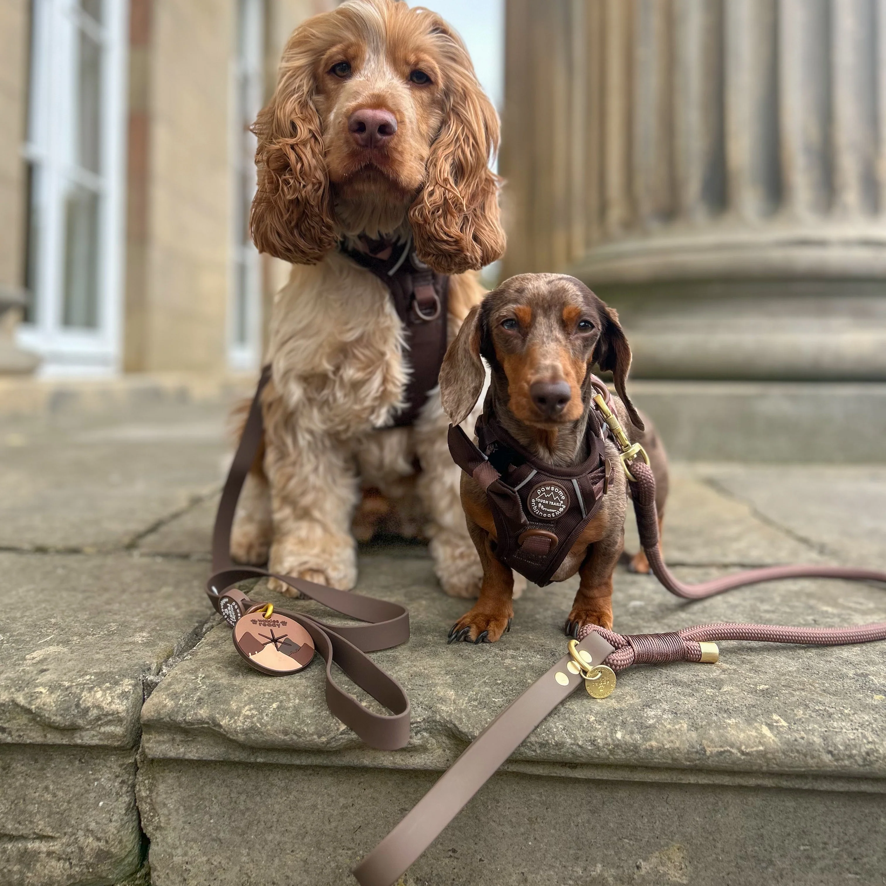 4ft Waterproof Lead - Walkies Ready® Chocolate Brown - Image 14