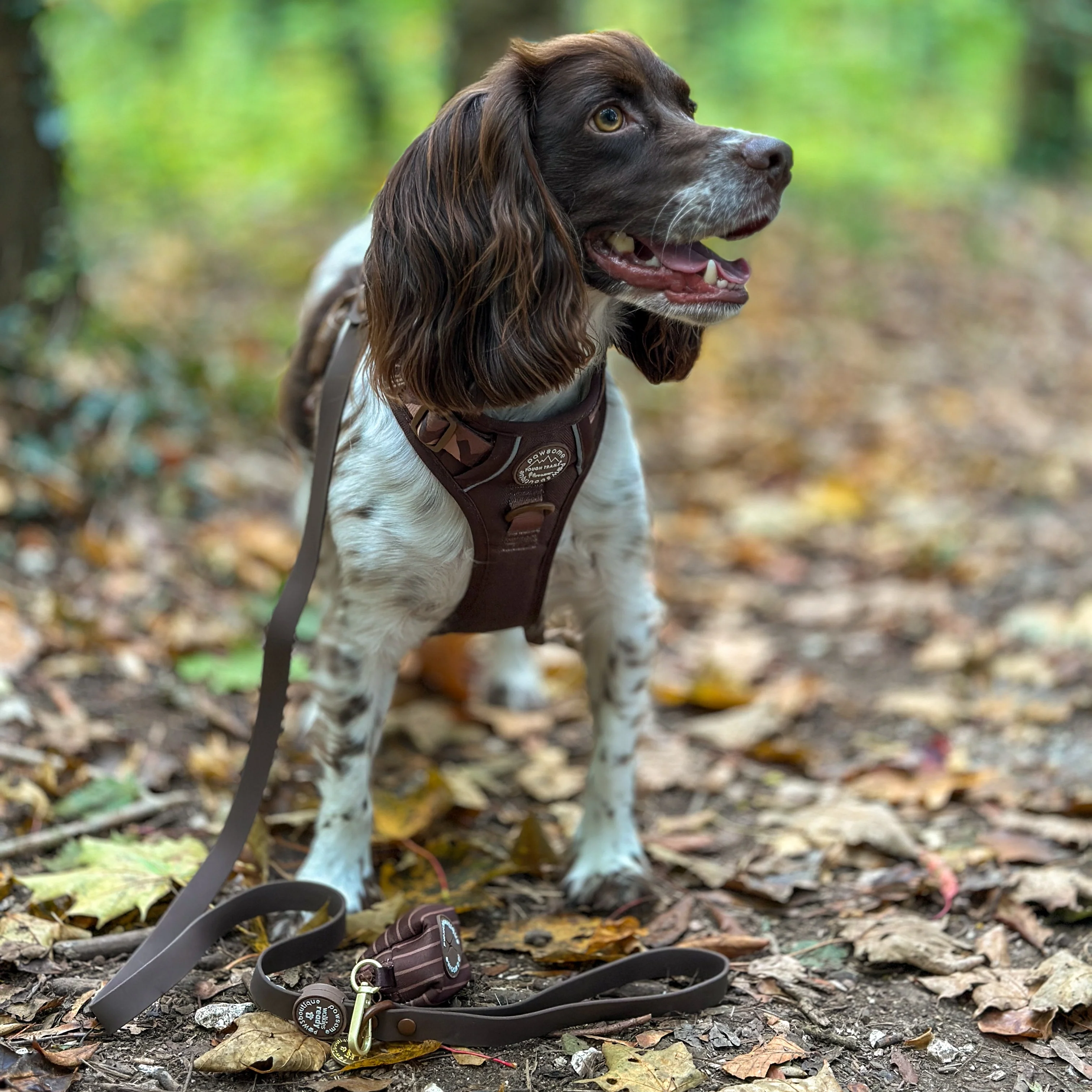 4ft Waterproof Lead - Walkies Ready® Chocolate Brown - Image 16