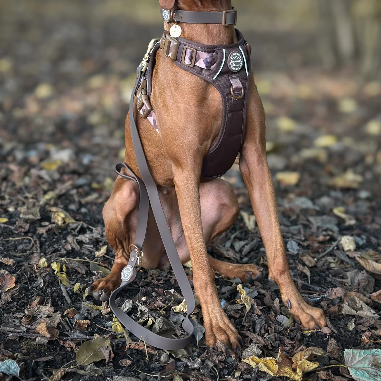 4ft Waterproof Lead - Walkies Ready® Chocolate Brown - Image 17