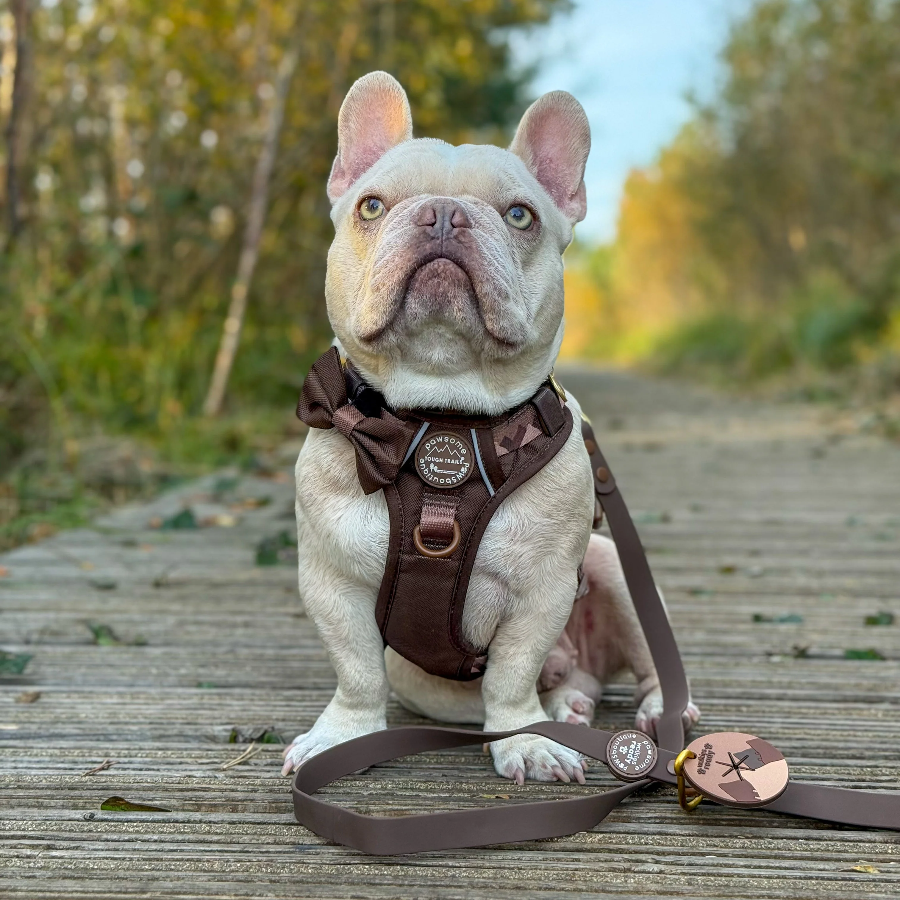 4ft Waterproof Lead - Walkies Ready® Chocolate Brown - Image 7