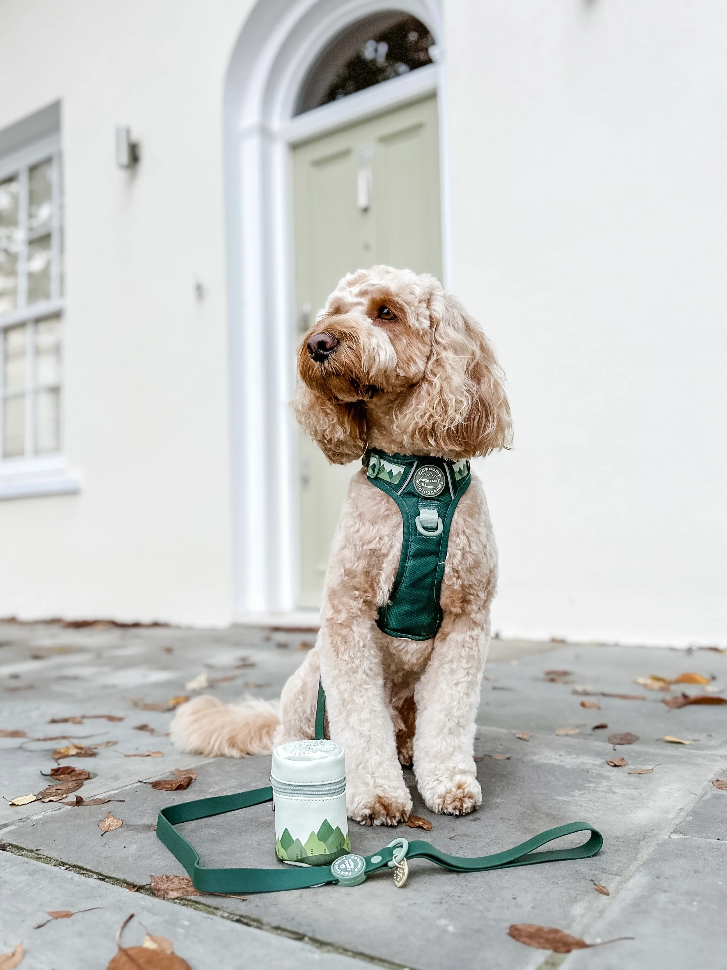 4ft Waterproof Lead - Walkies Ready® Forest Green - Image 10