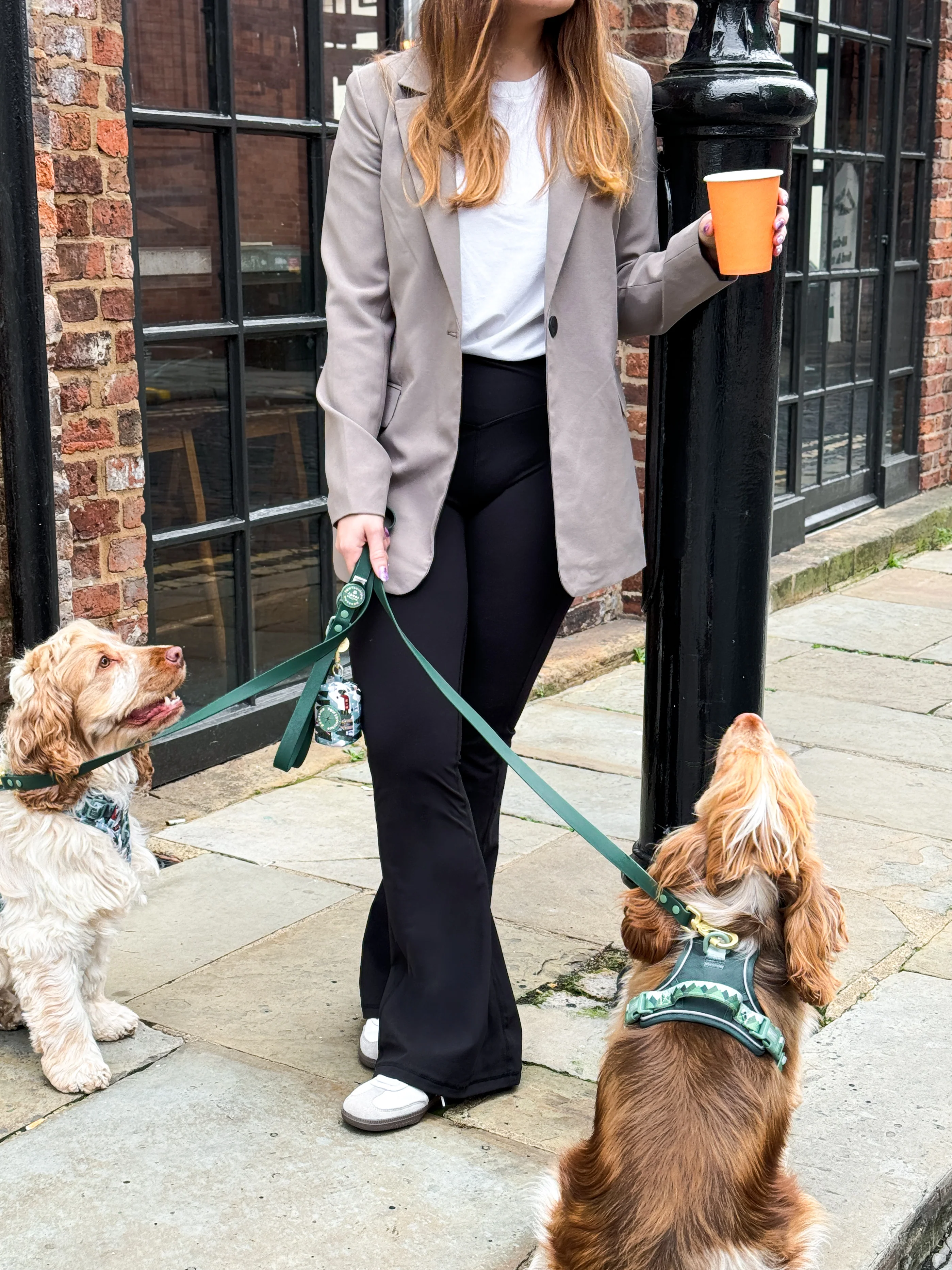 4ft Waterproof Lead - Walkies Ready® Forest Green - Image 19