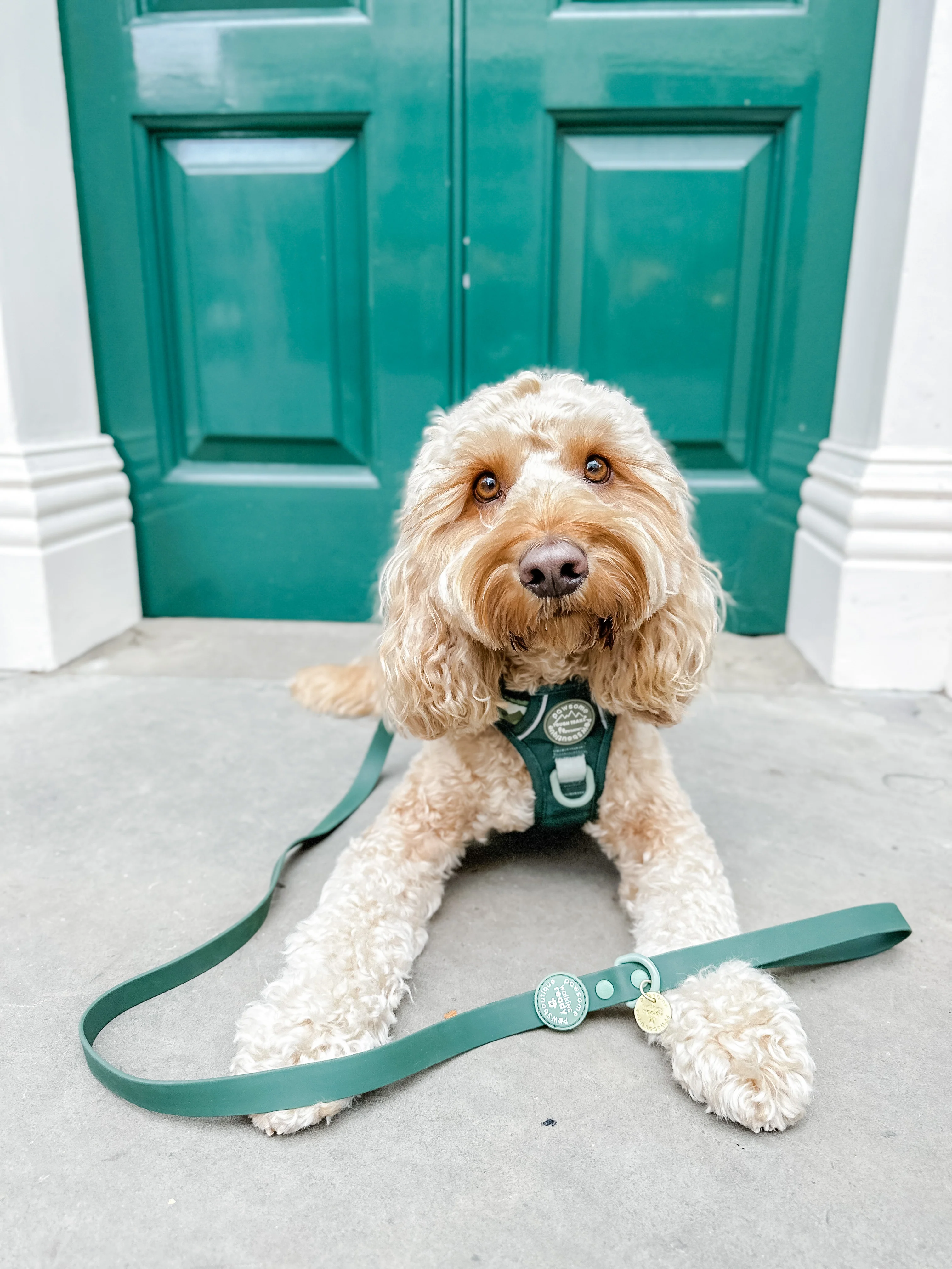 4ft Waterproof Lead - Walkies Ready® Forest Green - Image 20