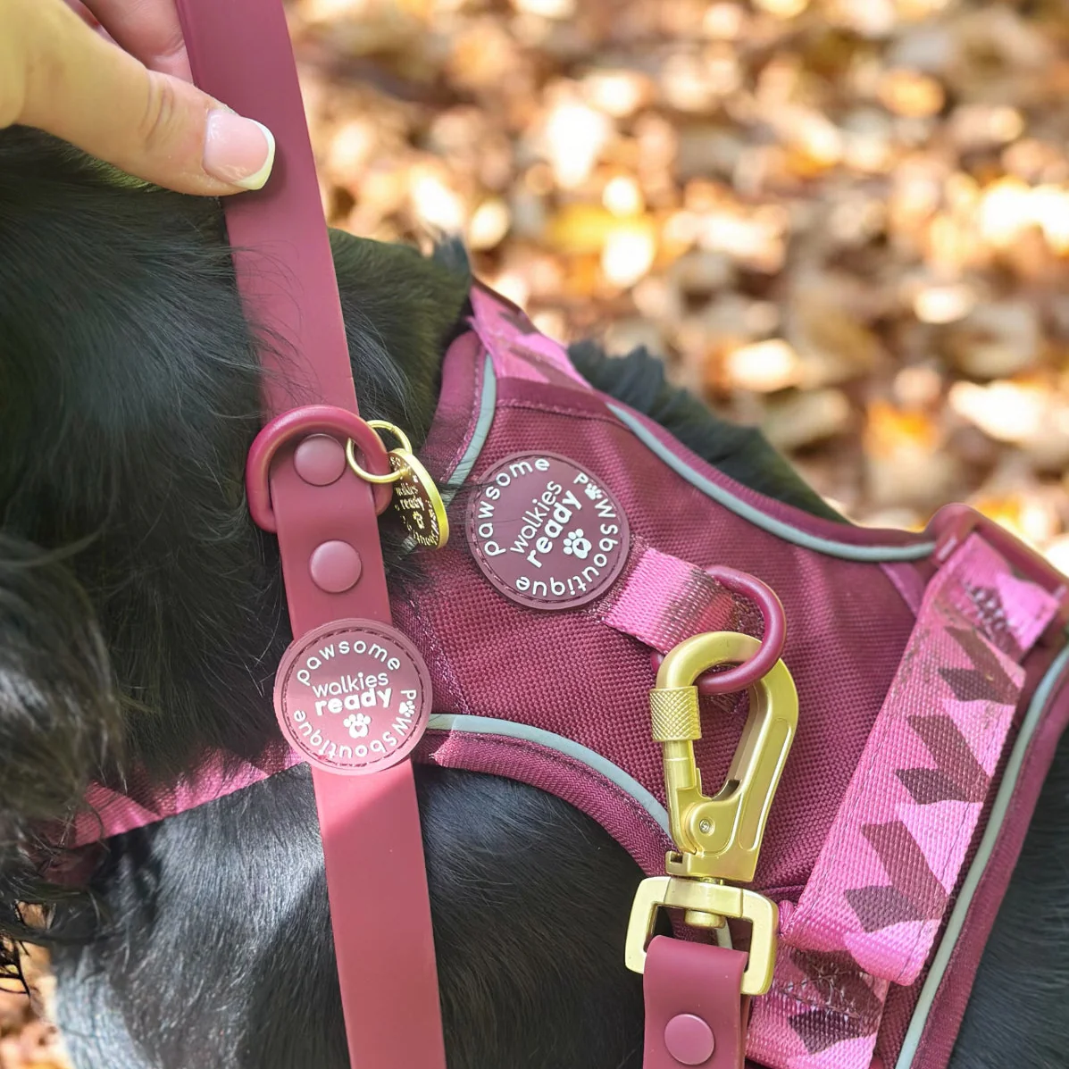 4ft Waterproof Lead - Walkies Ready® Mulberry - Image 11