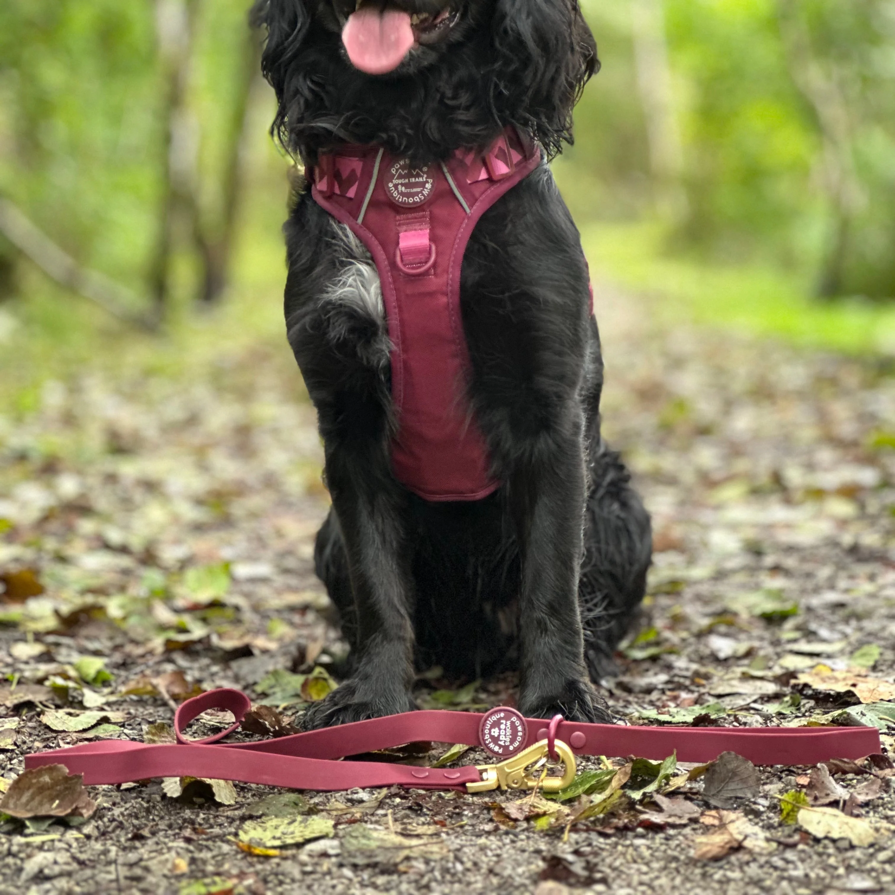 4ft Waterproof Lead - Walkies Ready® Mulberry - Image 12