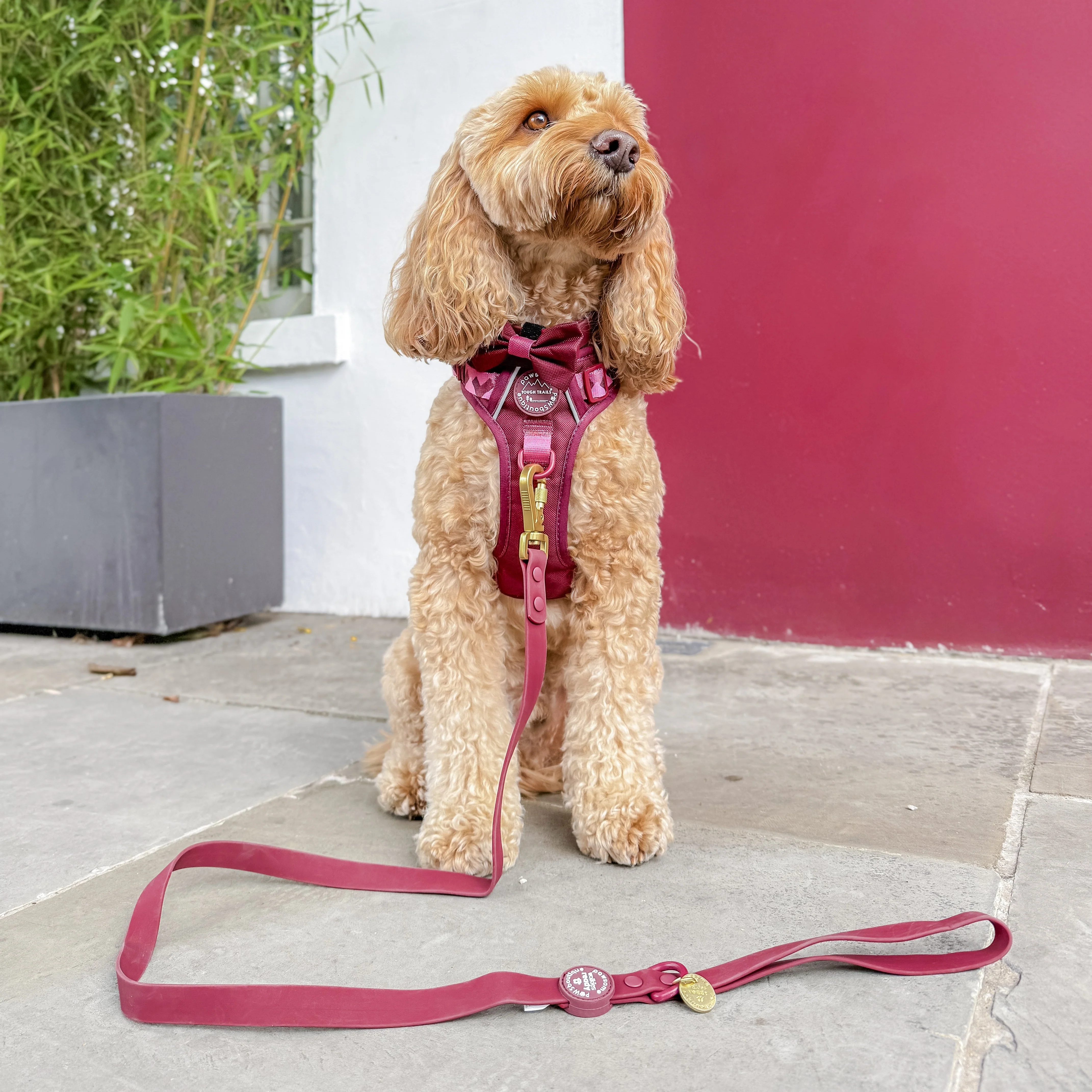 4ft Waterproof Lead - Walkies Ready® Mulberry - Image 5