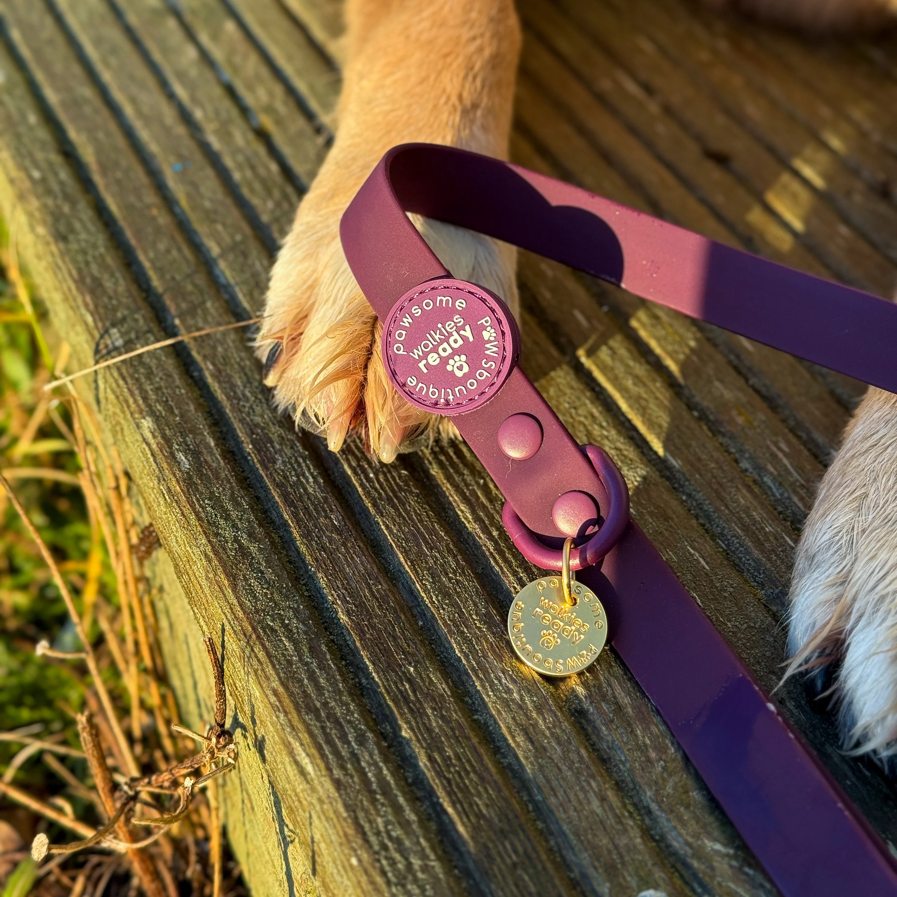 4ft Waterproof Lead - Walkies Ready® Plum - Image 12
