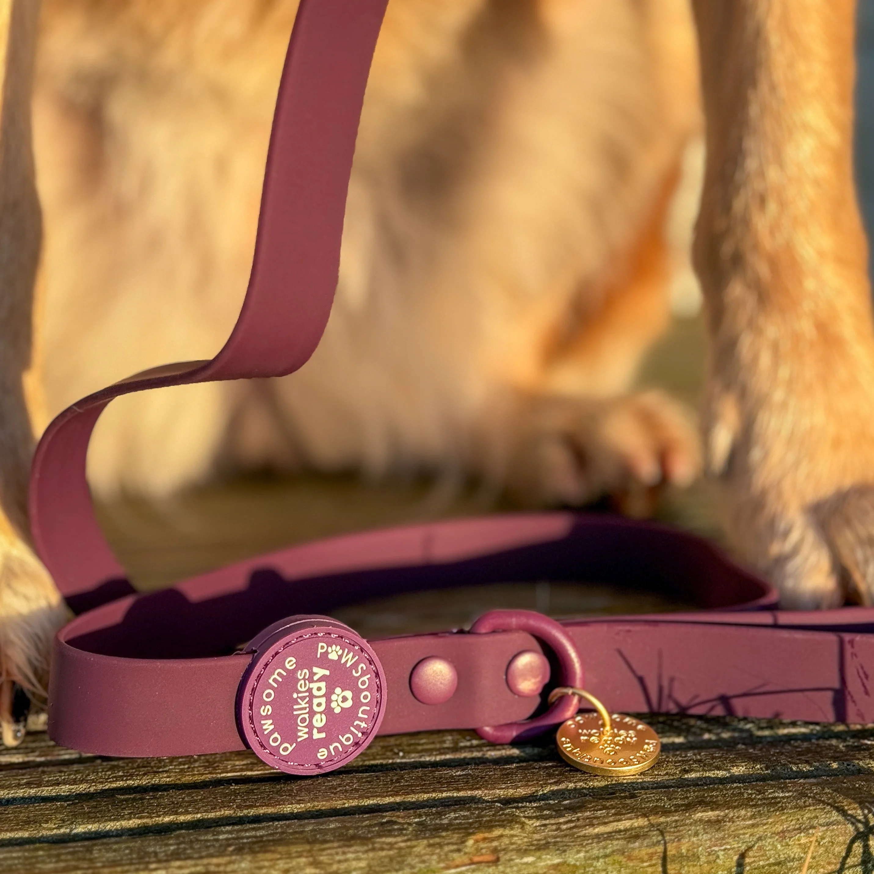 4ft Waterproof Lead - Walkies Ready® Plum - Image 5