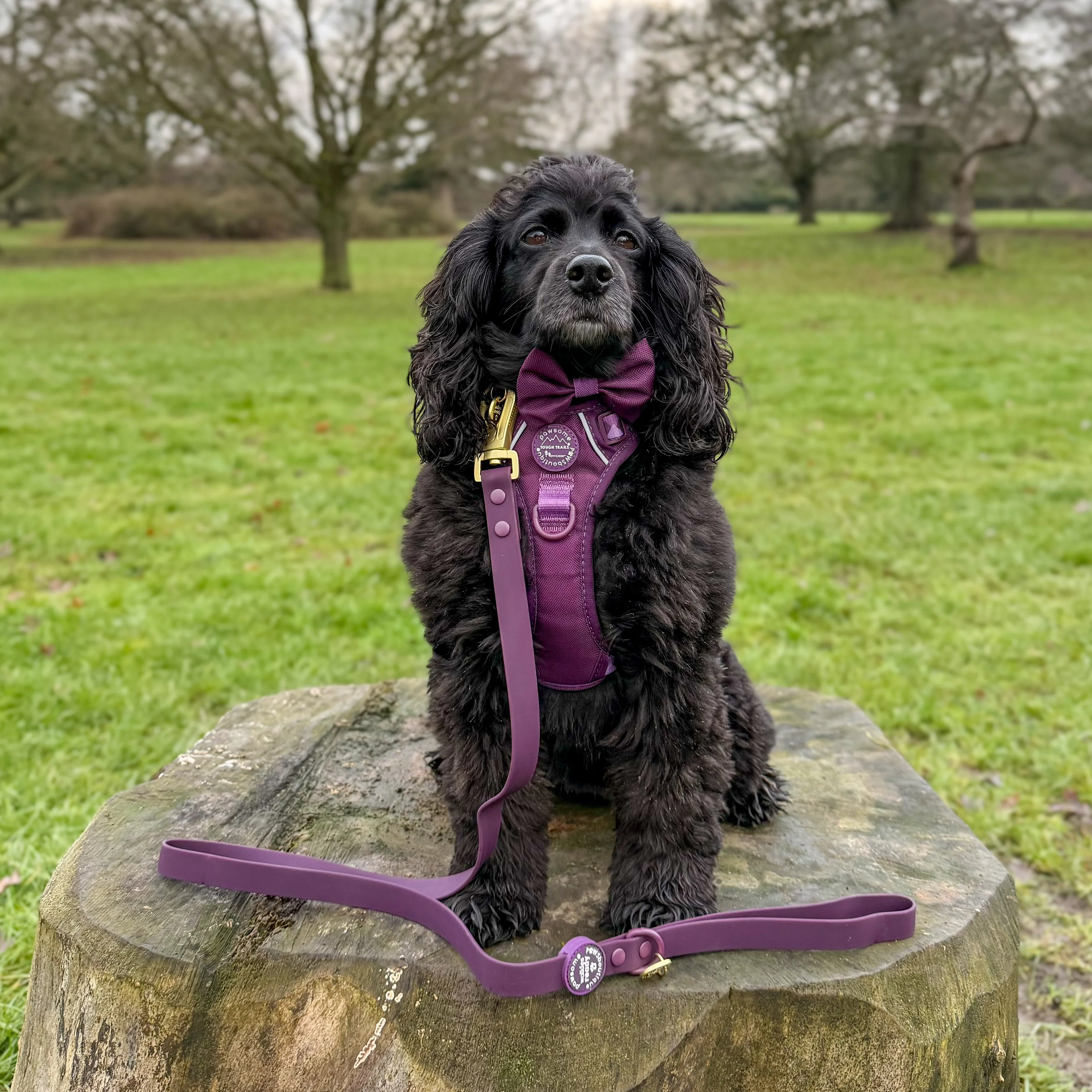 4ft Waterproof Lead - Walkies Ready® Plum - Image 6