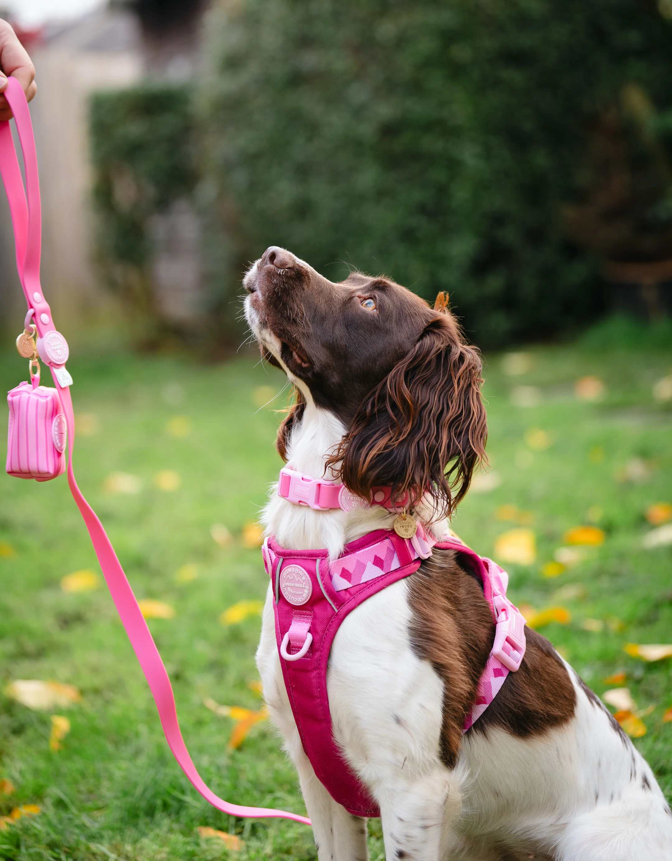 4ft Waterproof Lead - Walkies Ready® Raspberry Pink - Image 4