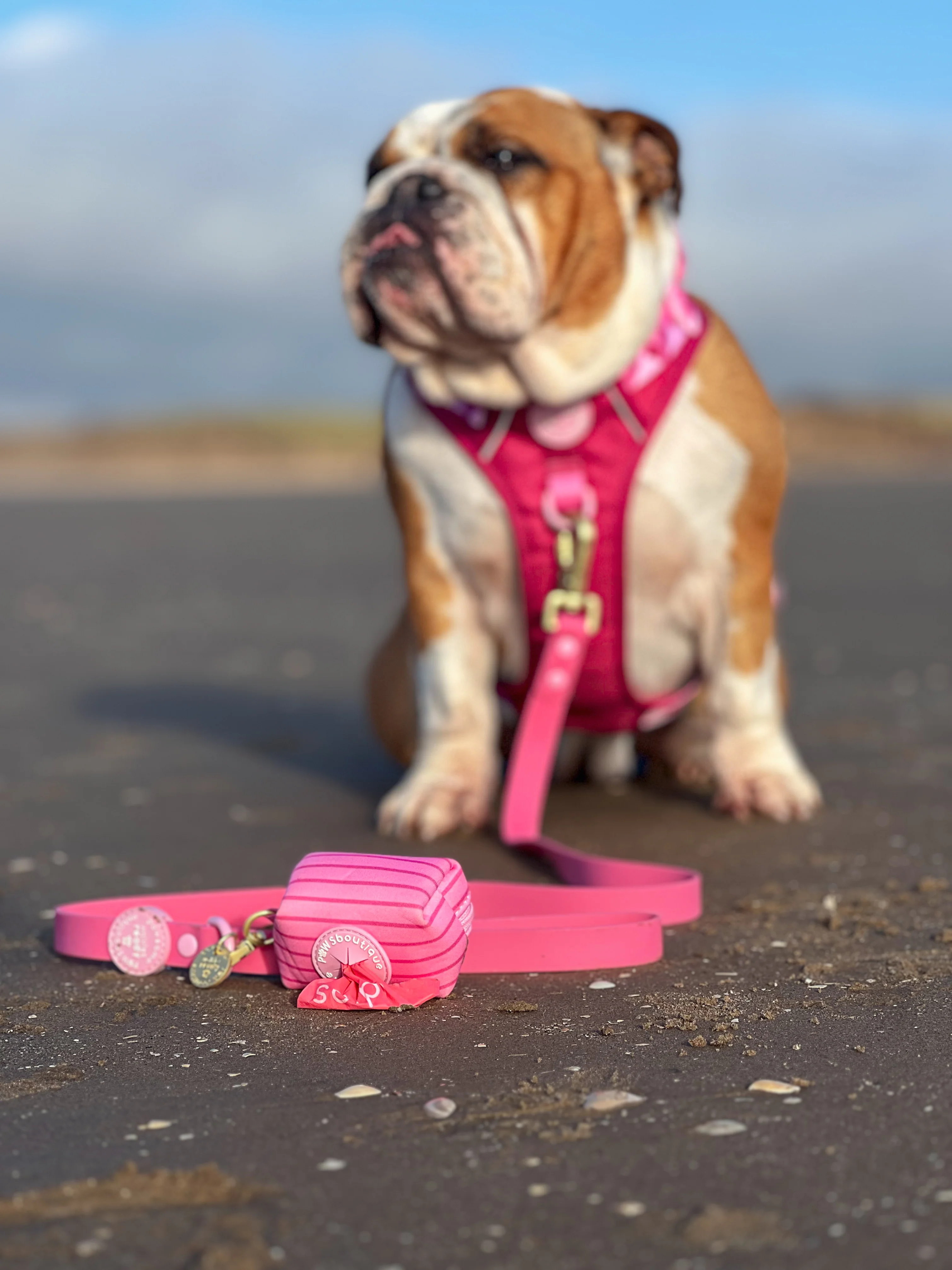 4ft Waterproof Lead - Walkies Ready® Raspberry Pink - Image 9