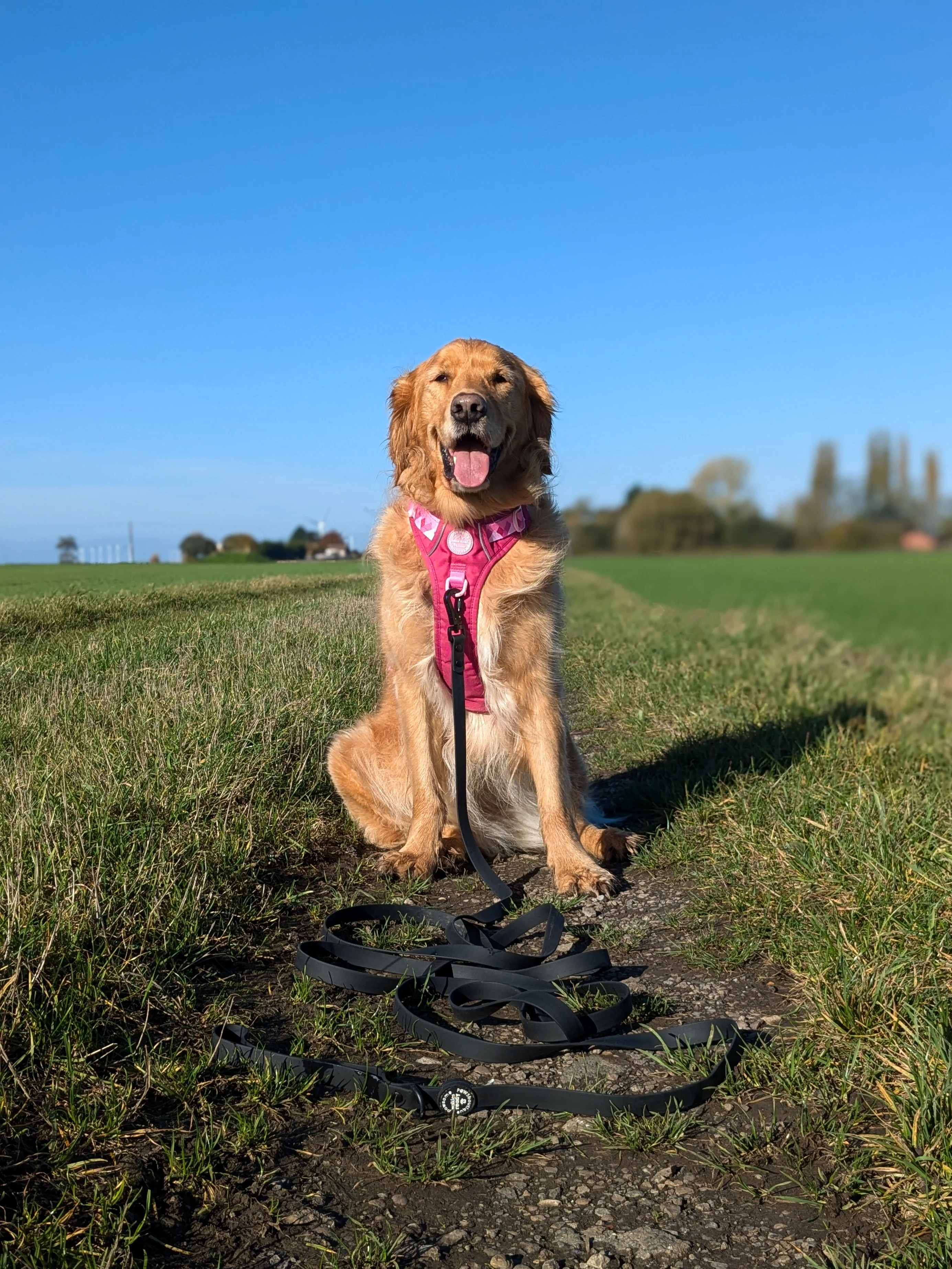5m Waterproof Long Line Lead - Walkies Ready® Black - Image 9