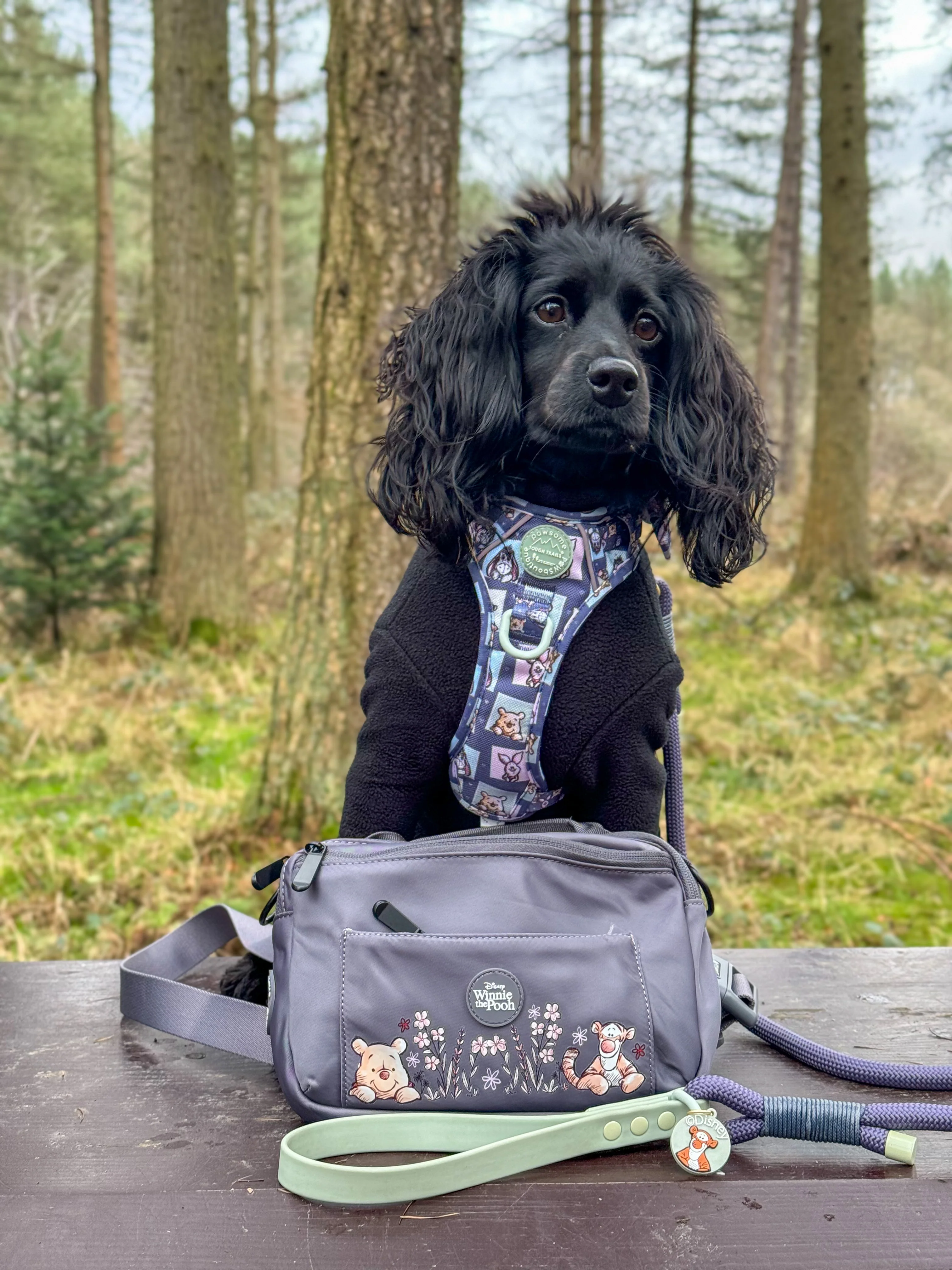 Disney© All In One Bumbag - Winnie + Friends - Image 7