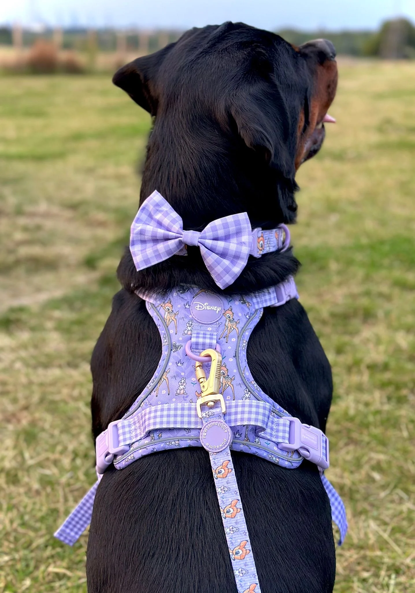 Disney© Bow Tie - Bambi + Friends Lilac Gingham - Image 11
