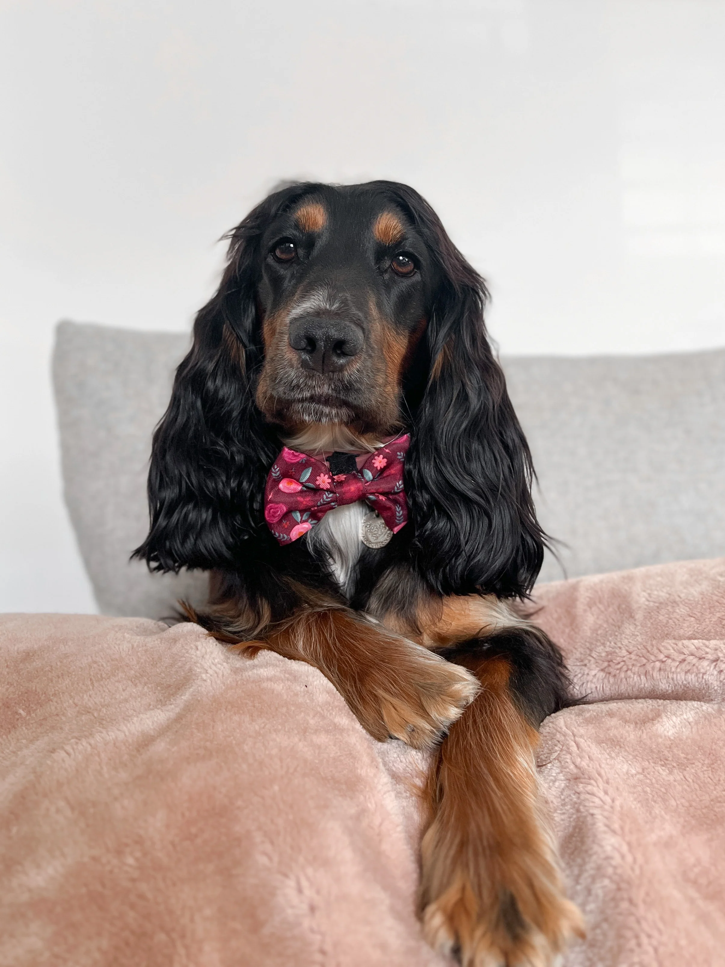 Bow Tie - Mable's Meadow - Image 3