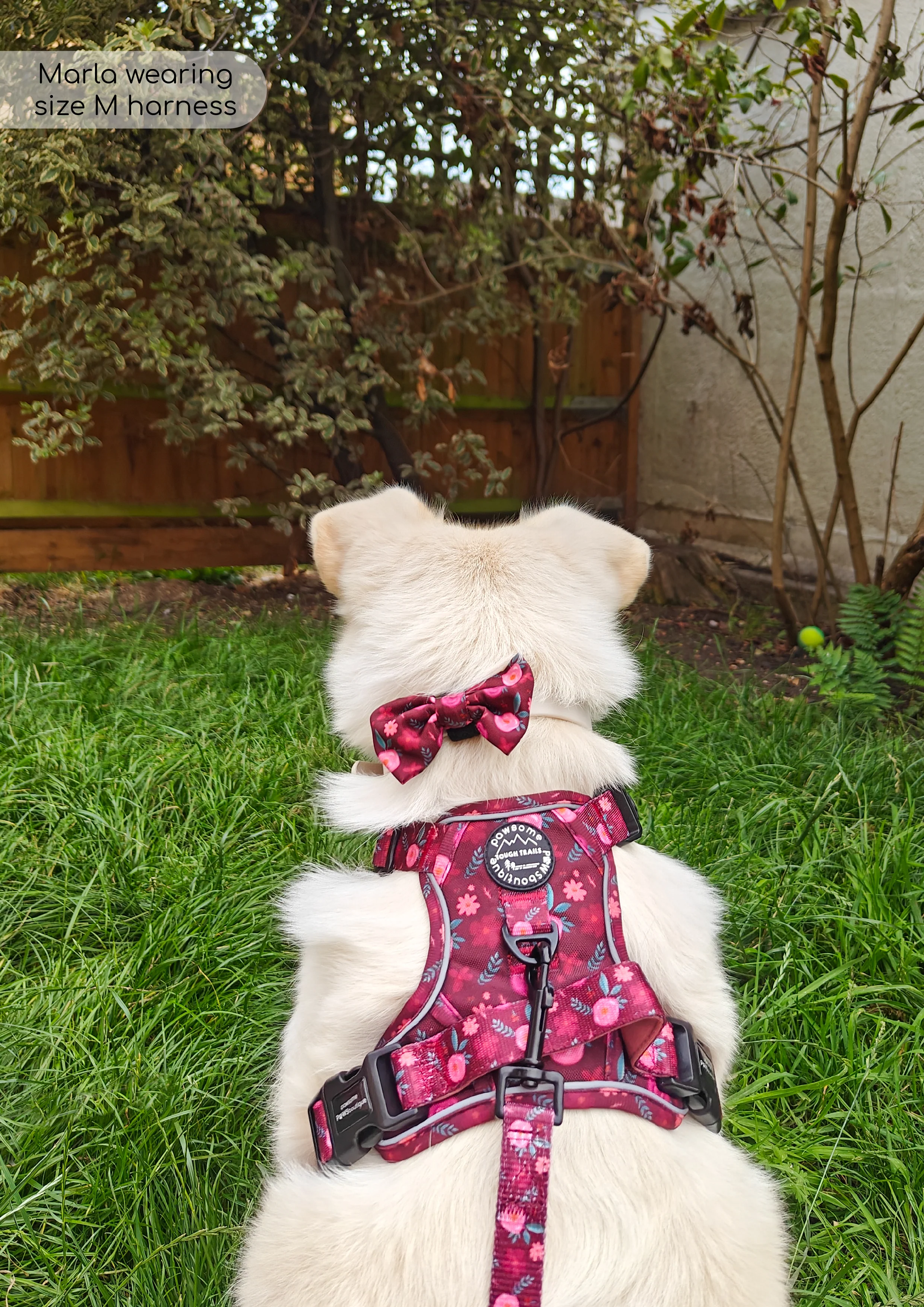 Bow Tie - Mable's Meadow - Image 4