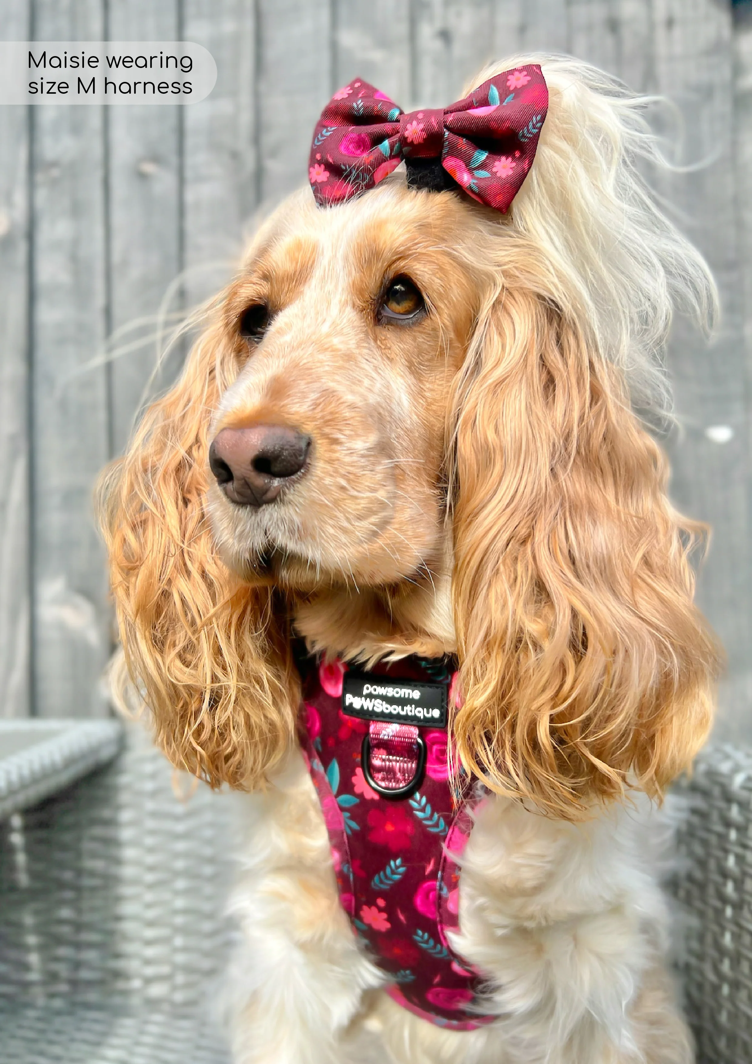 Bow Tie - Mable's Meadow - Image 6