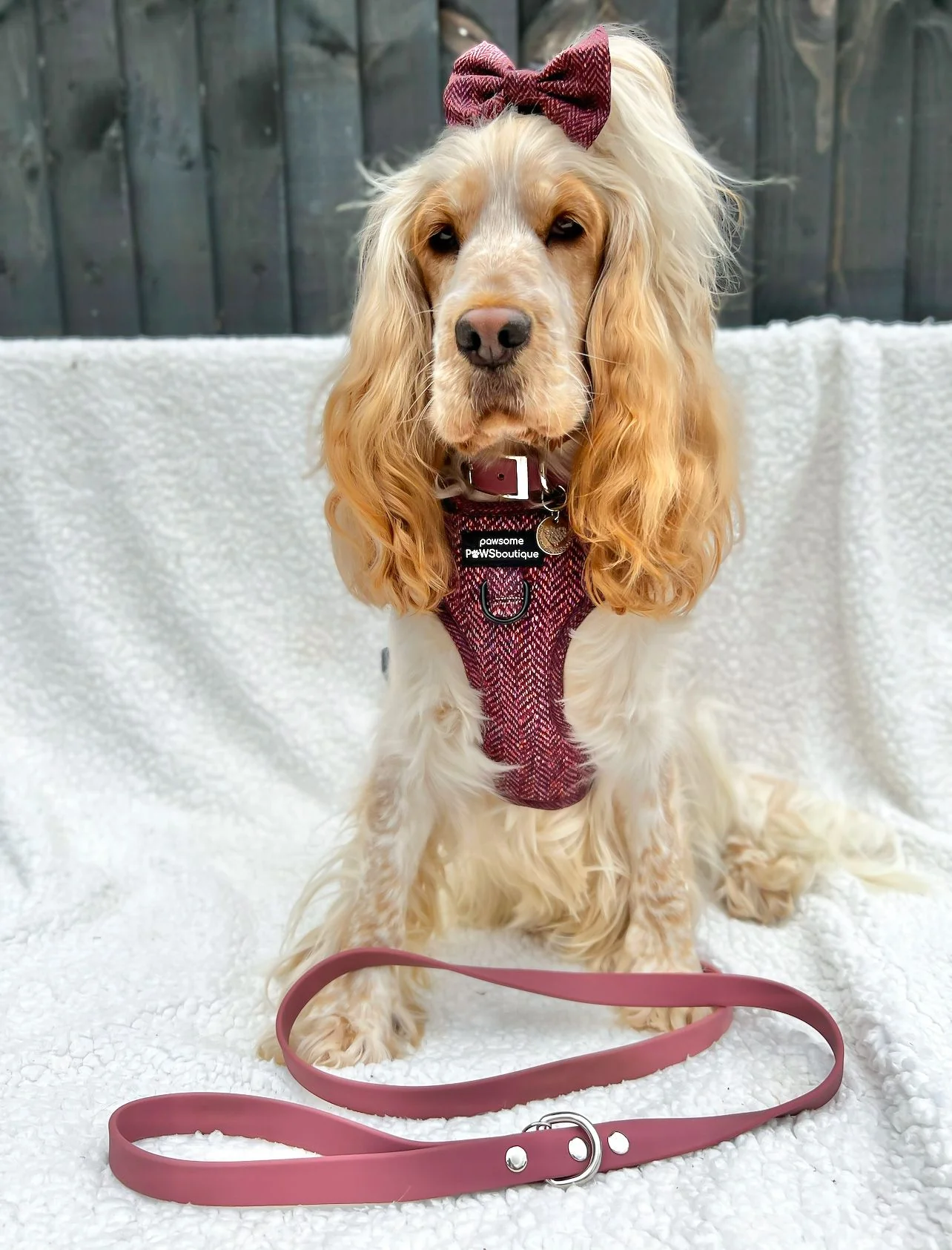 Bow Tie - Country Burgundy - Image 14