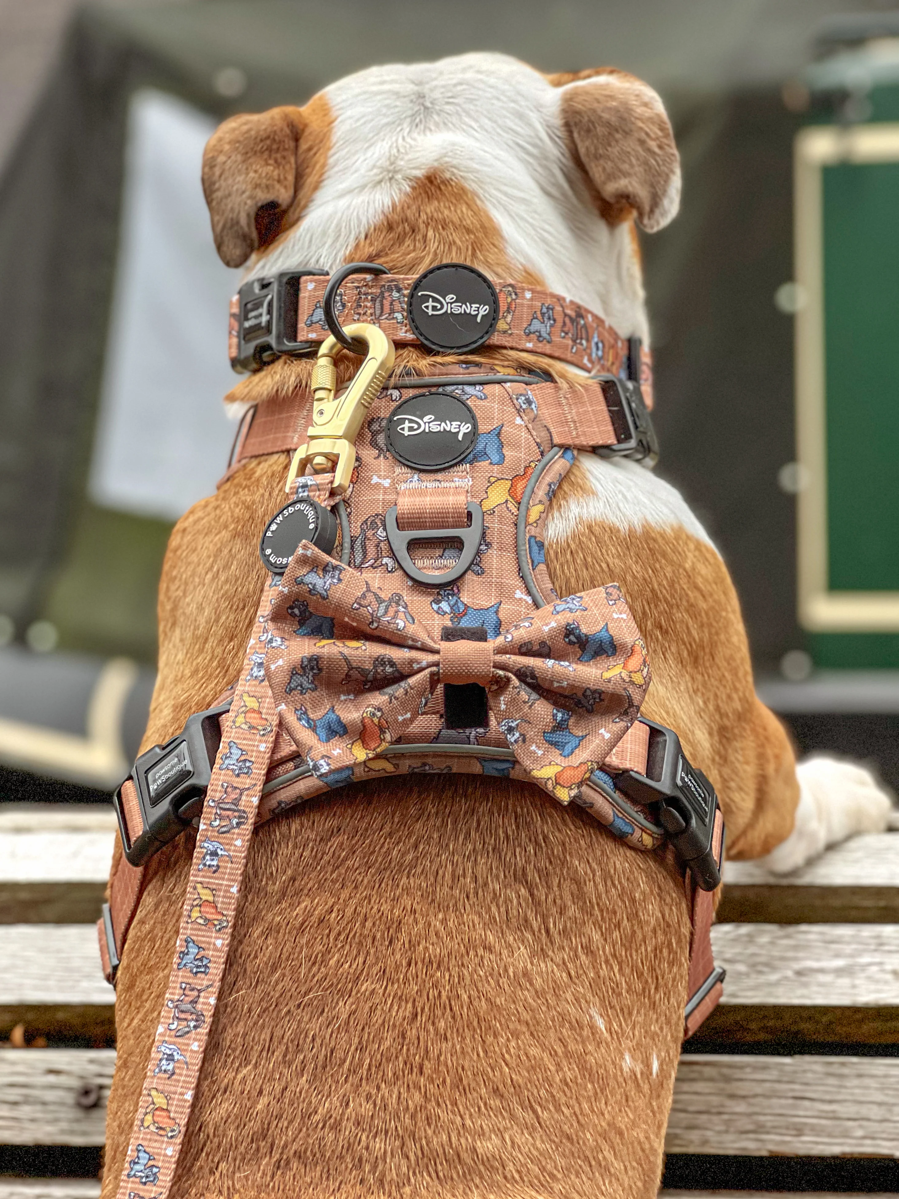 Disney© Bow Tie - Disney Dogs - Image 20