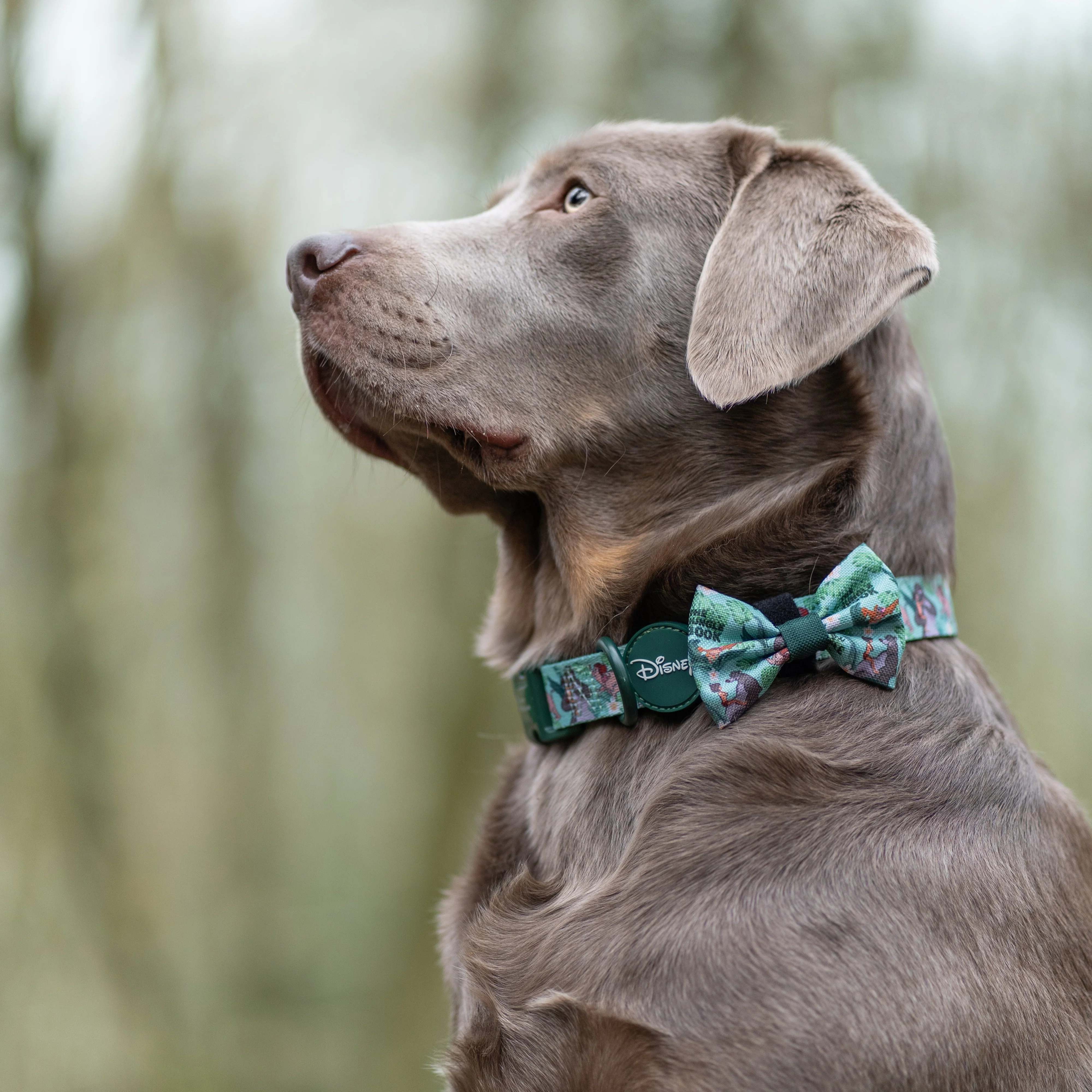 Disney© Bow Tie - Jungle Book - Image 4