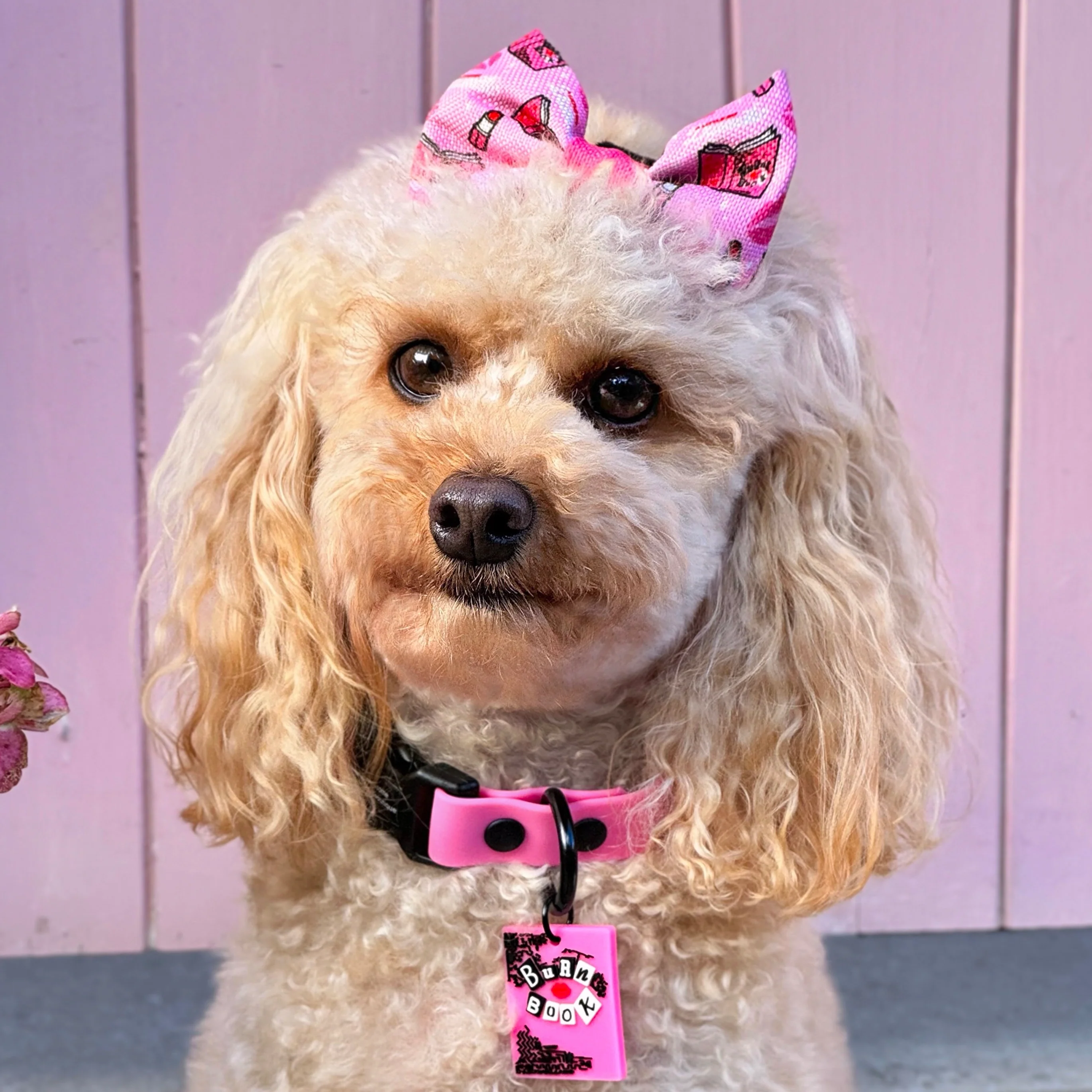 Bow Tie - Mean Girls - Image 9